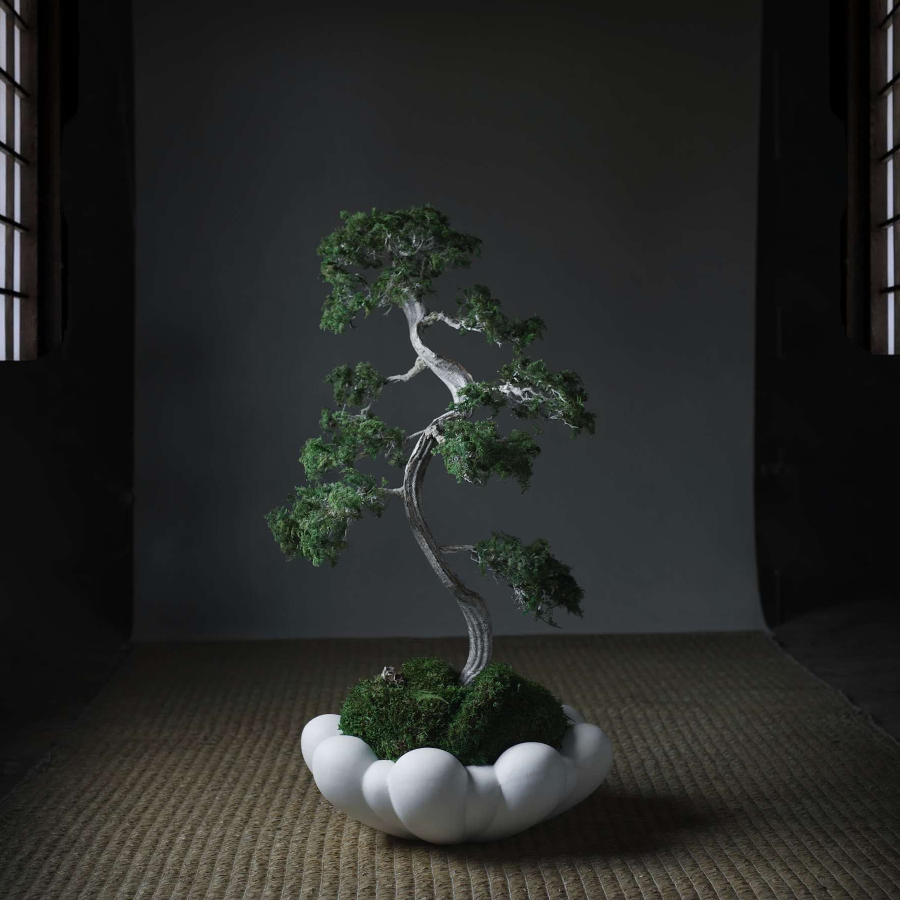 Bloom Bowl Almond Medio