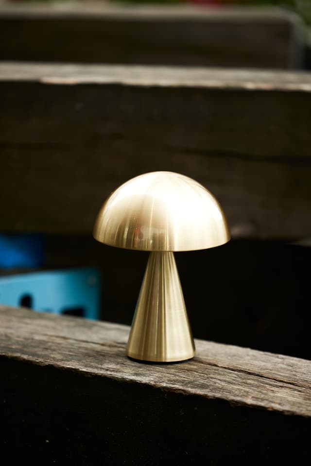 Mush Portable Table Lamp Brass 20cm