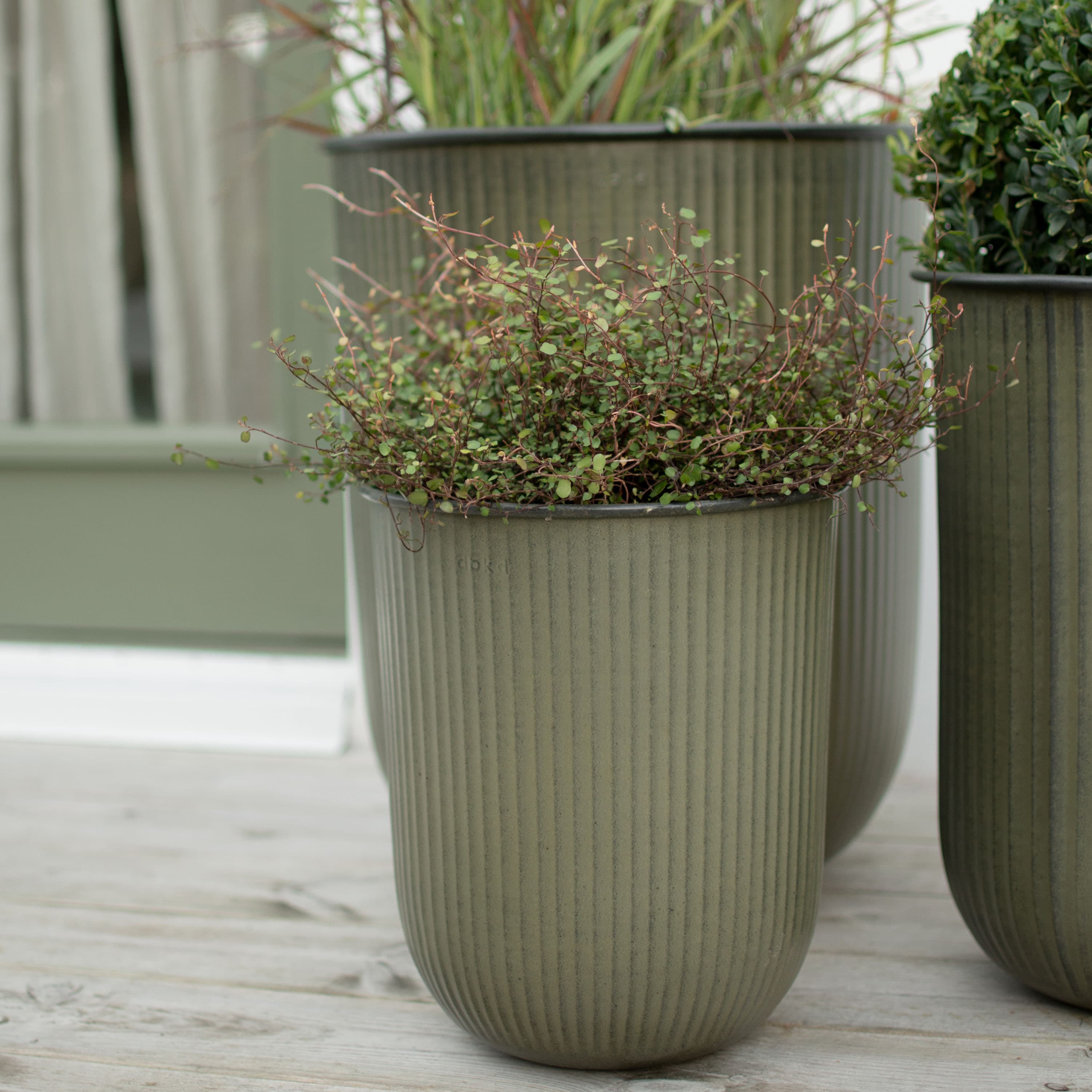 Out Stripe Kruka Green 3-pack
