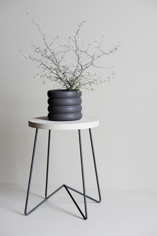 Mud Pot Black Large