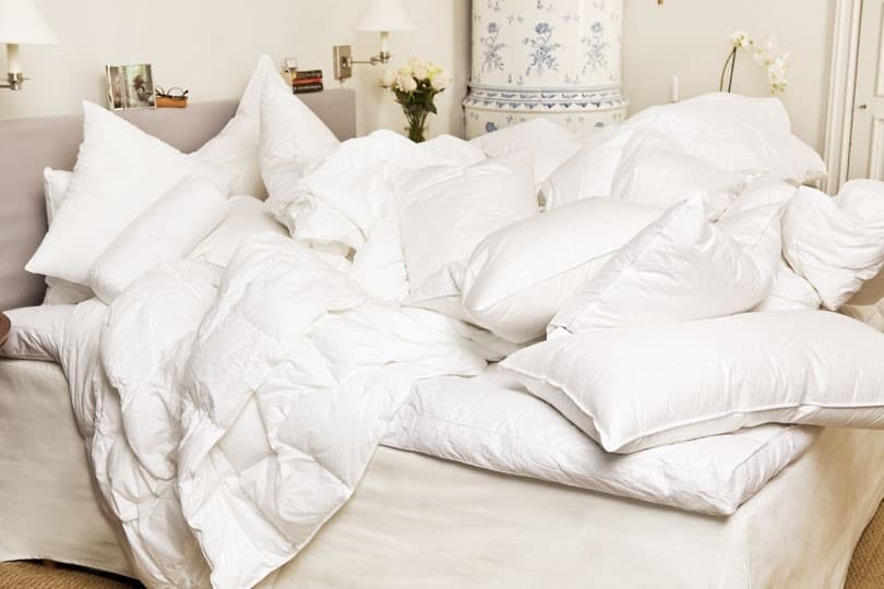 Natura Daunendecke Allround Doppel 700g