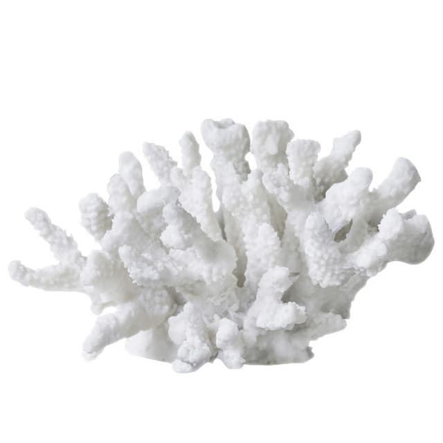 Coral Branches Decoration White L