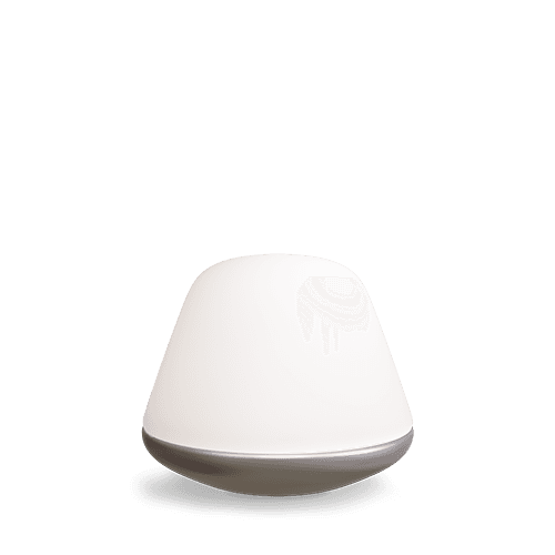 Bloom Table Lamp Ø20 Satin Silver/Opal