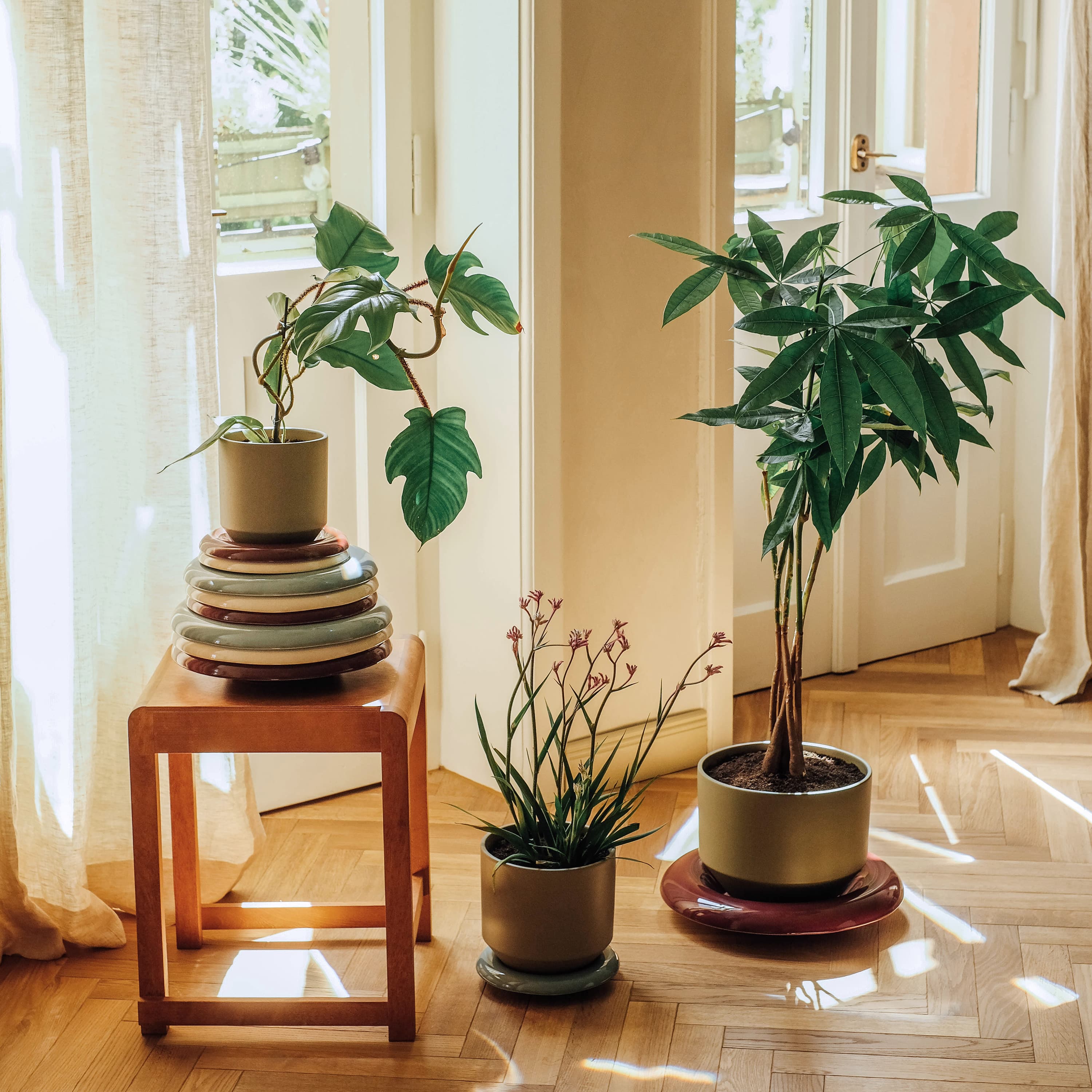 Lily Saucer Glazed Sandstone Ø18