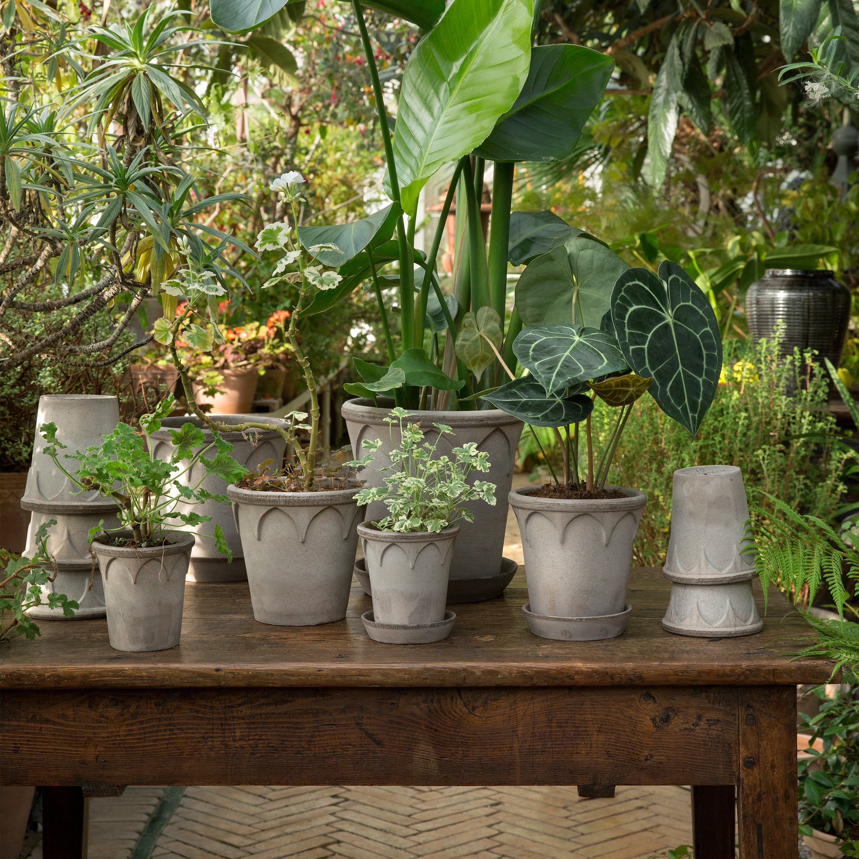Elizabeth Pot with Saucer Raw Grey Terracotta Ø18