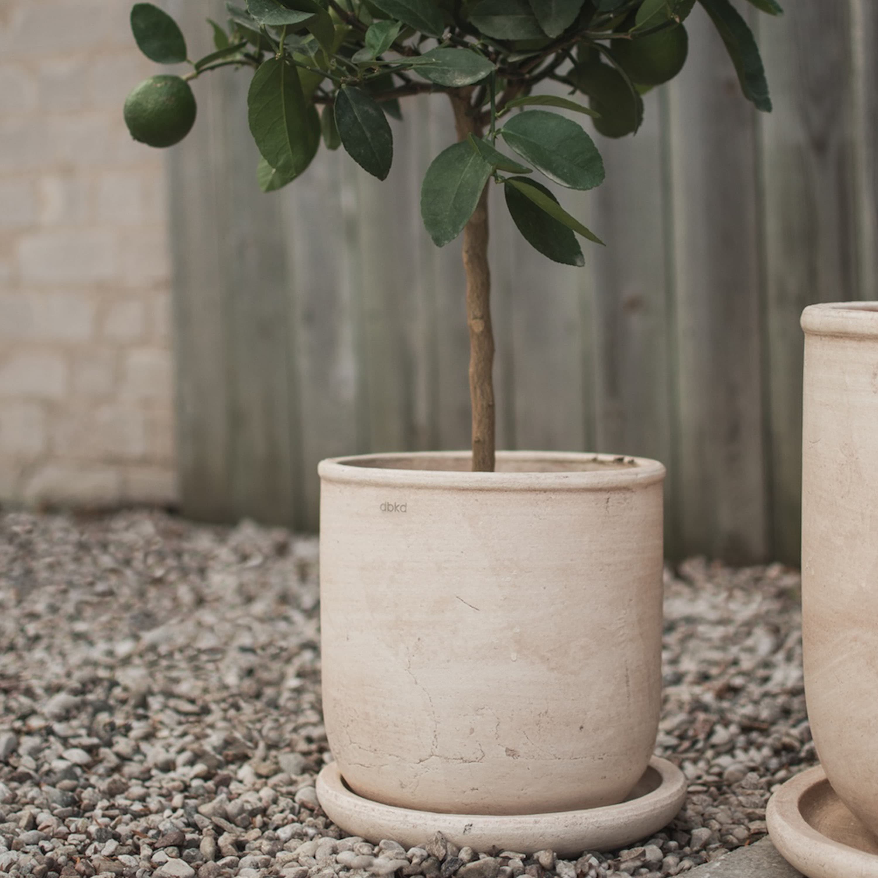 Terra Blumentopf Sand Ø23