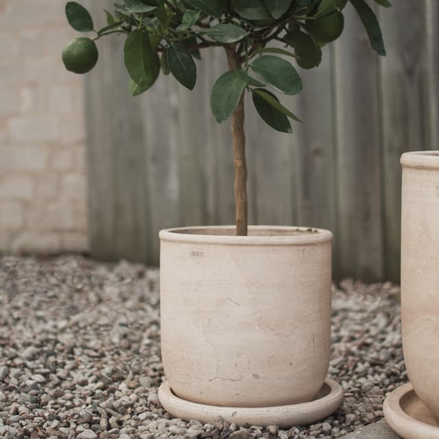 Terra Blumentopf Sand Ø23