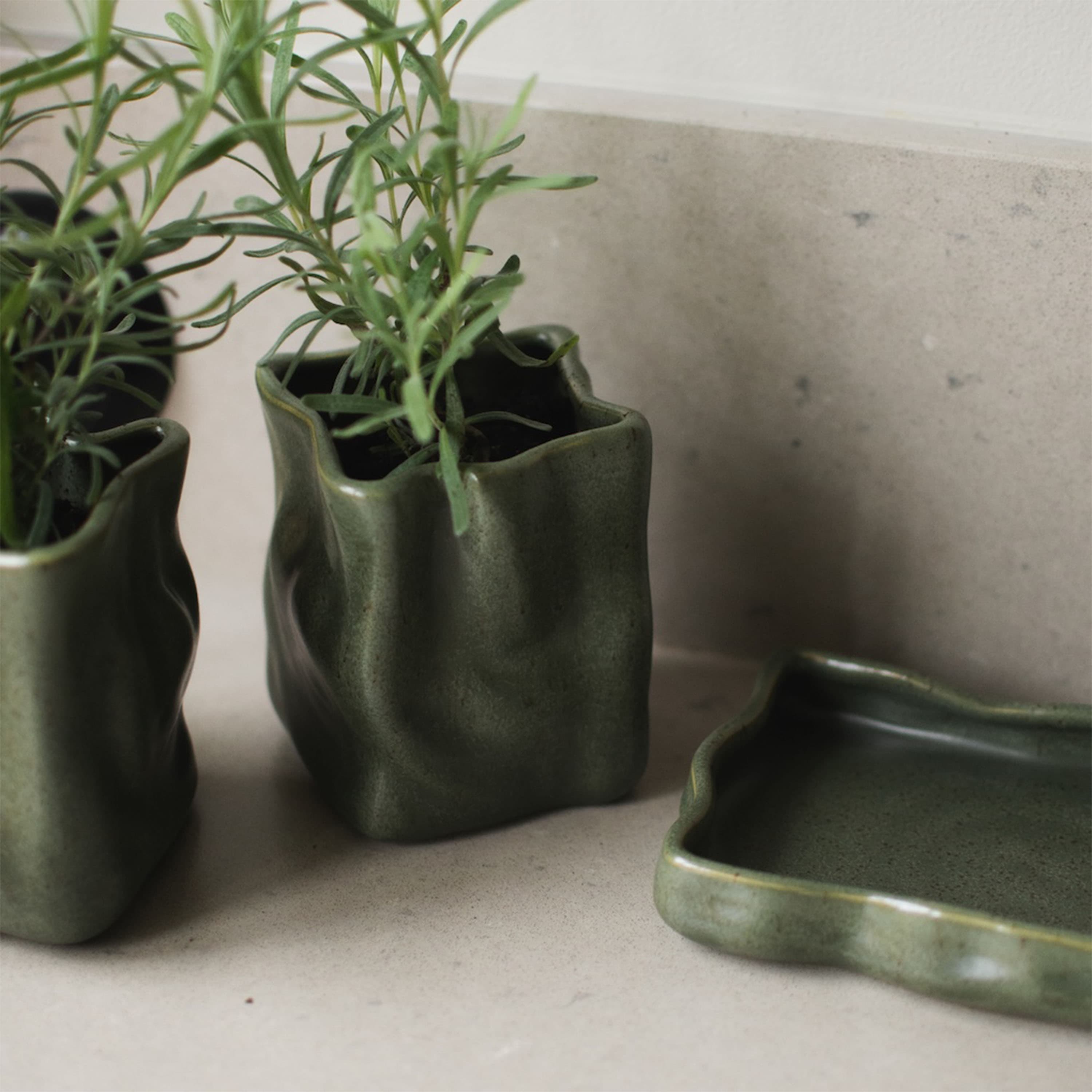 Herb Blumentopf Moos Ø8 2er-Set