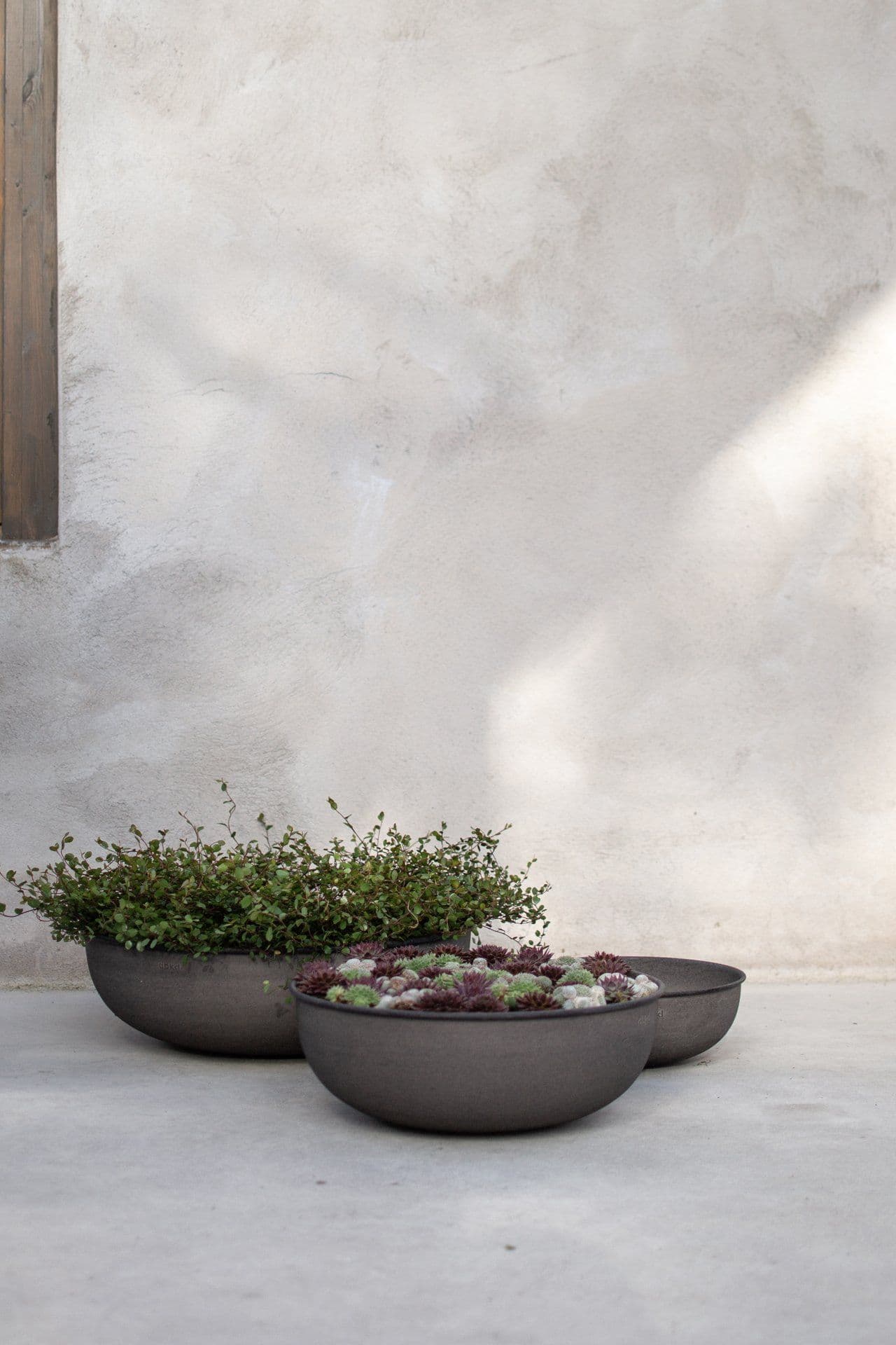 Out Bowl Green 3-pack