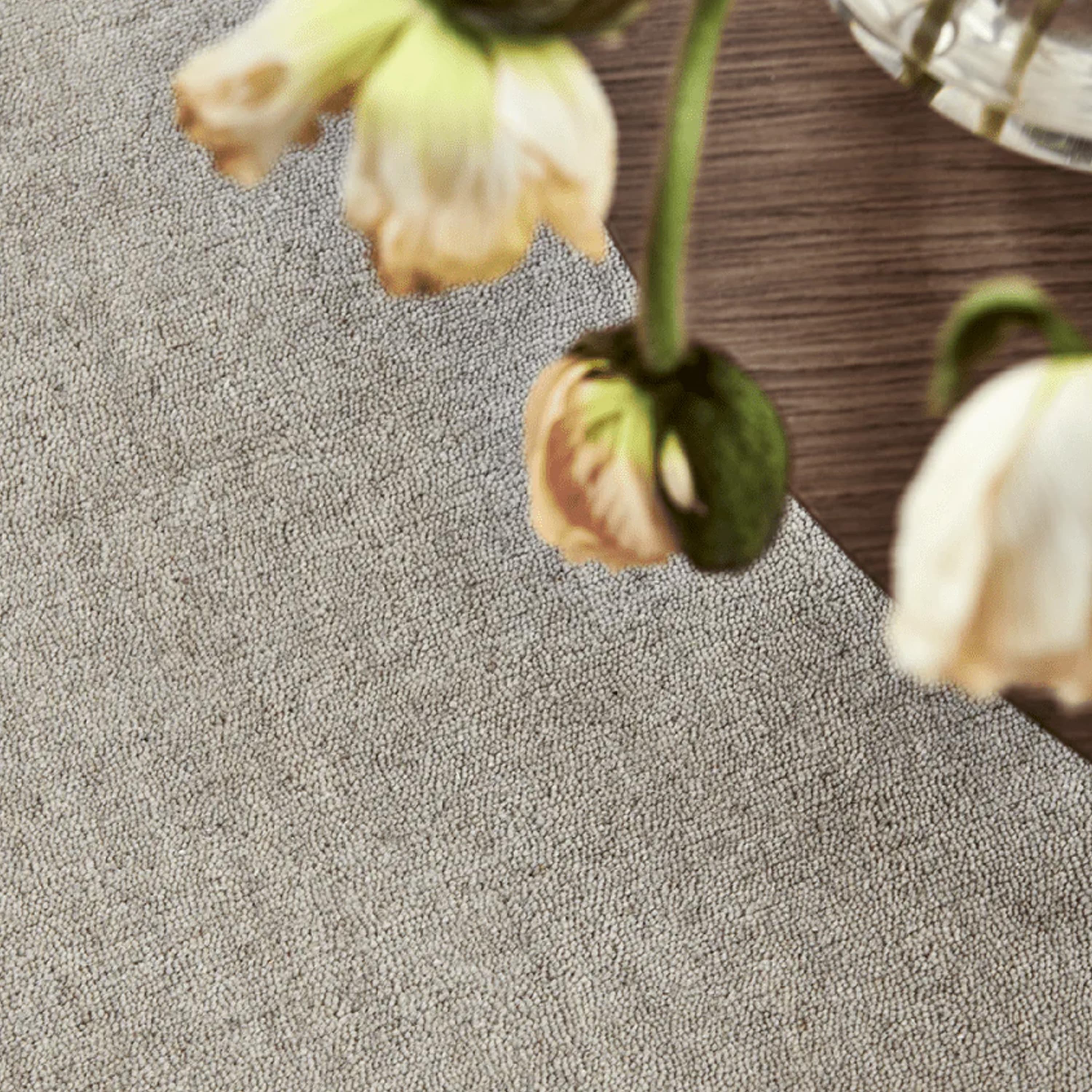 Solid Wollteppich Beige 200x300
