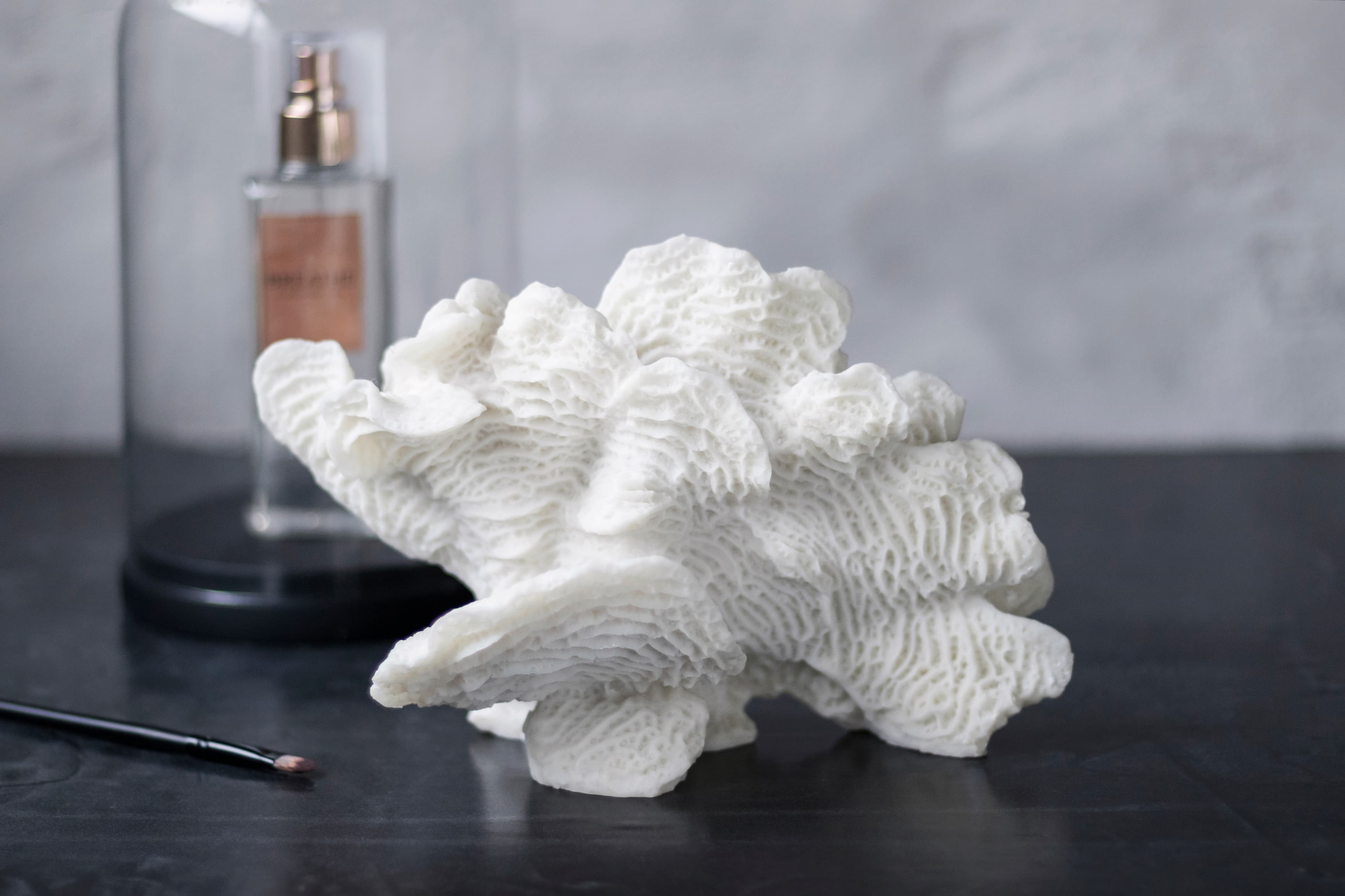 Coral Fan Dekoration Weiß