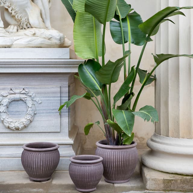 Piccolina Pot Raw Grey Terracotta Ø30