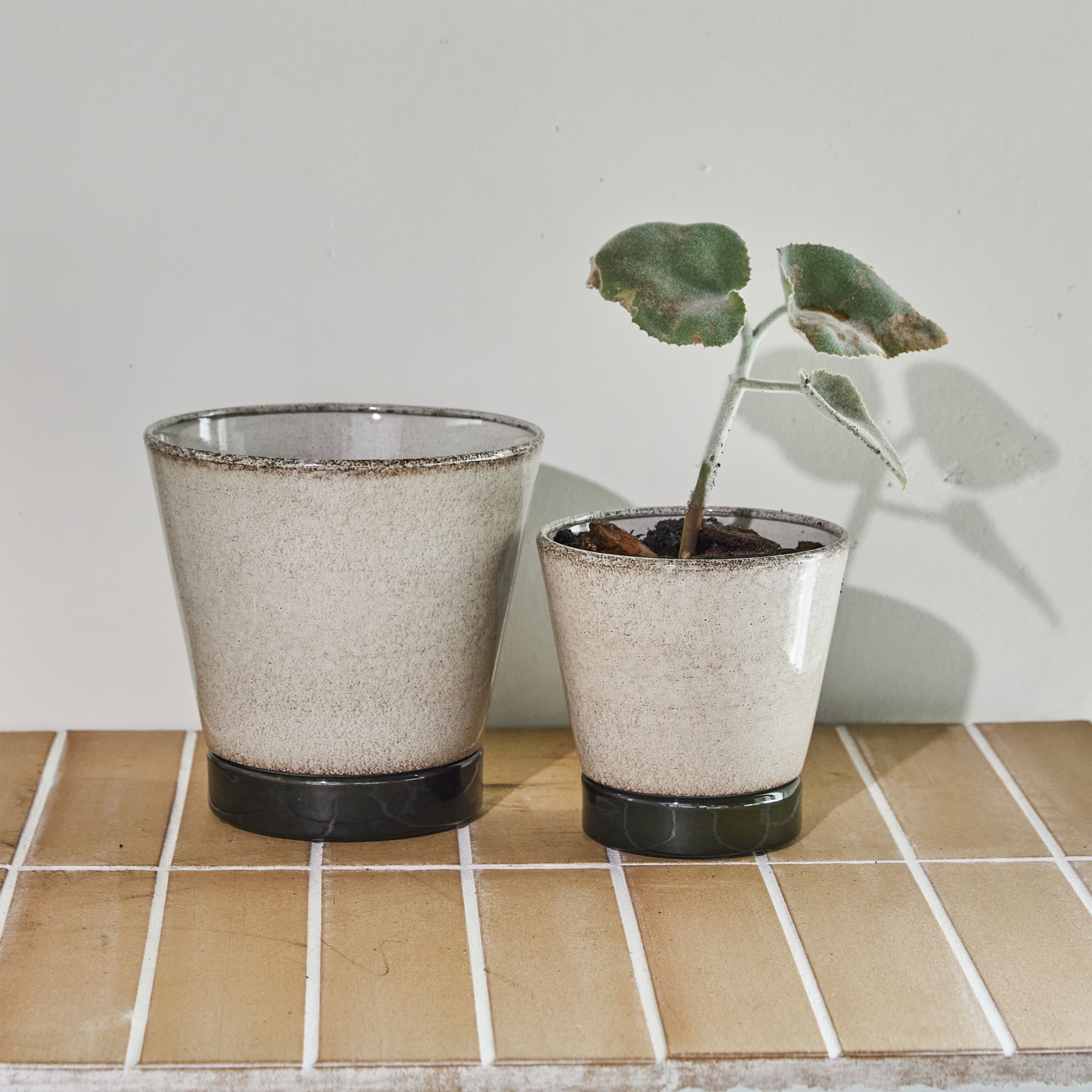 Lima Blumentopf Beige Grün 2er-Pack