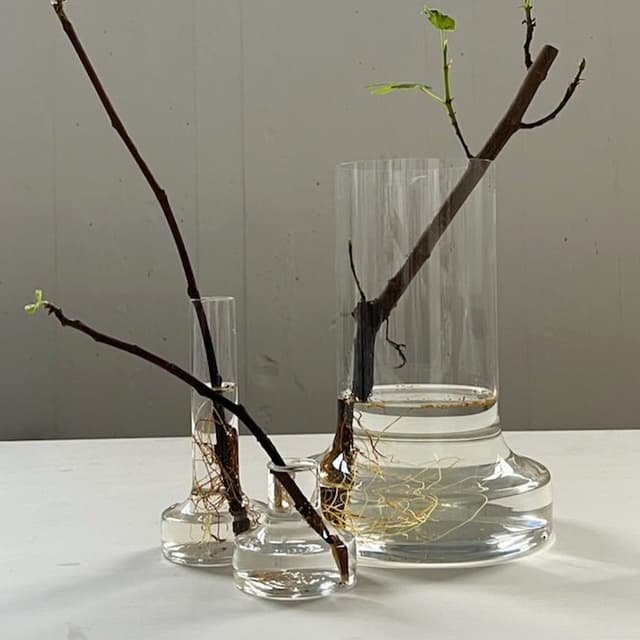 Kolonn Blank Vase Mittelgroß