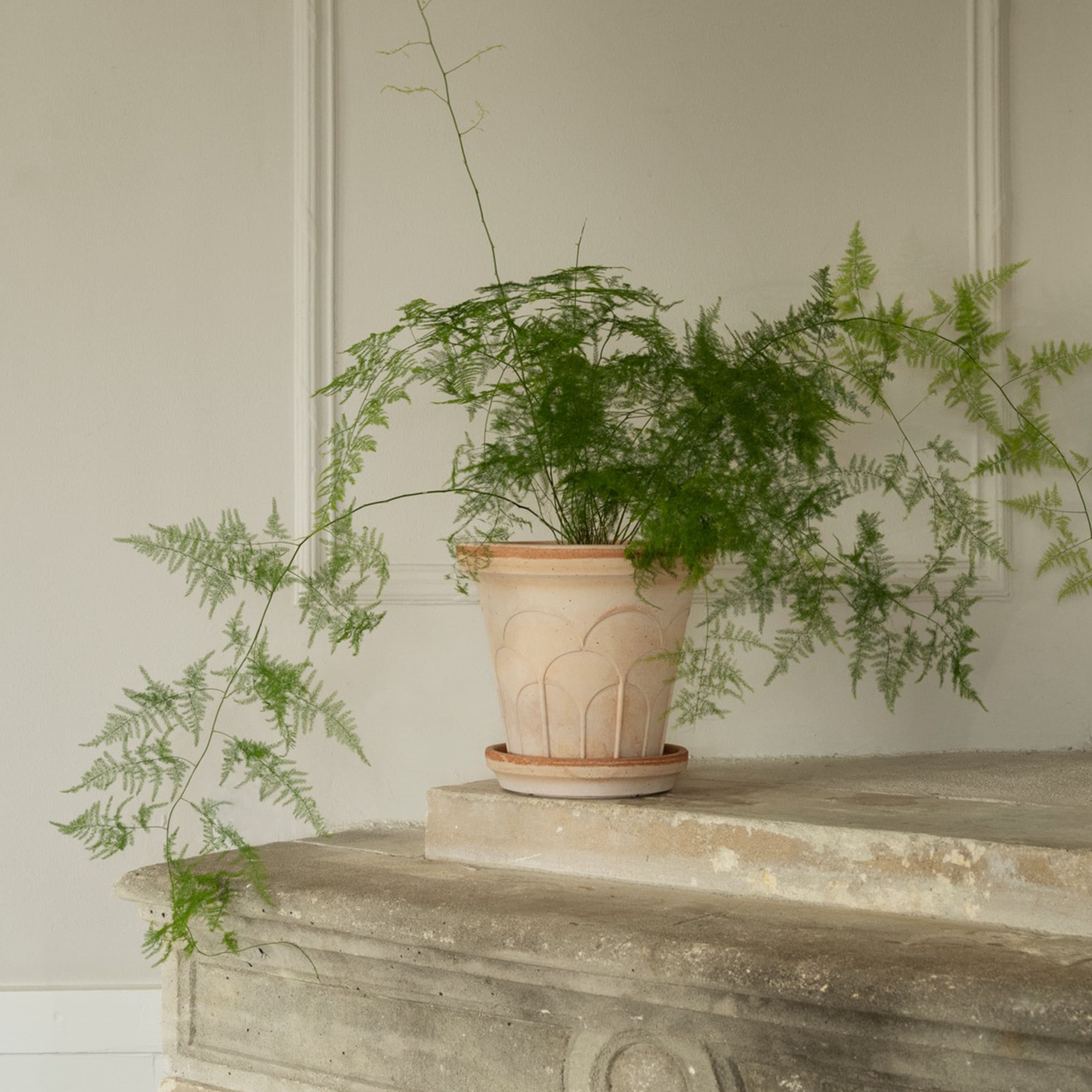 Fleur Blumentopf mit Untersetzer Raw Rosa Ø25
