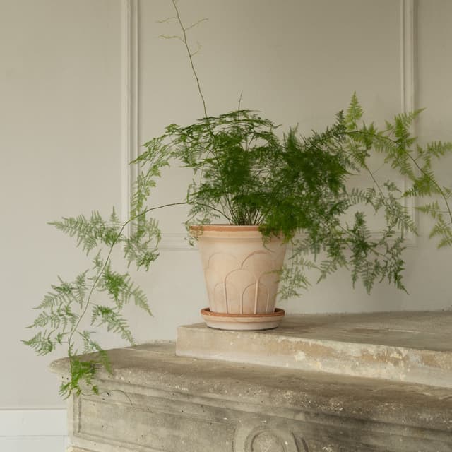 Fleur Plant Pot with Saucer Raw Rosa Ø25