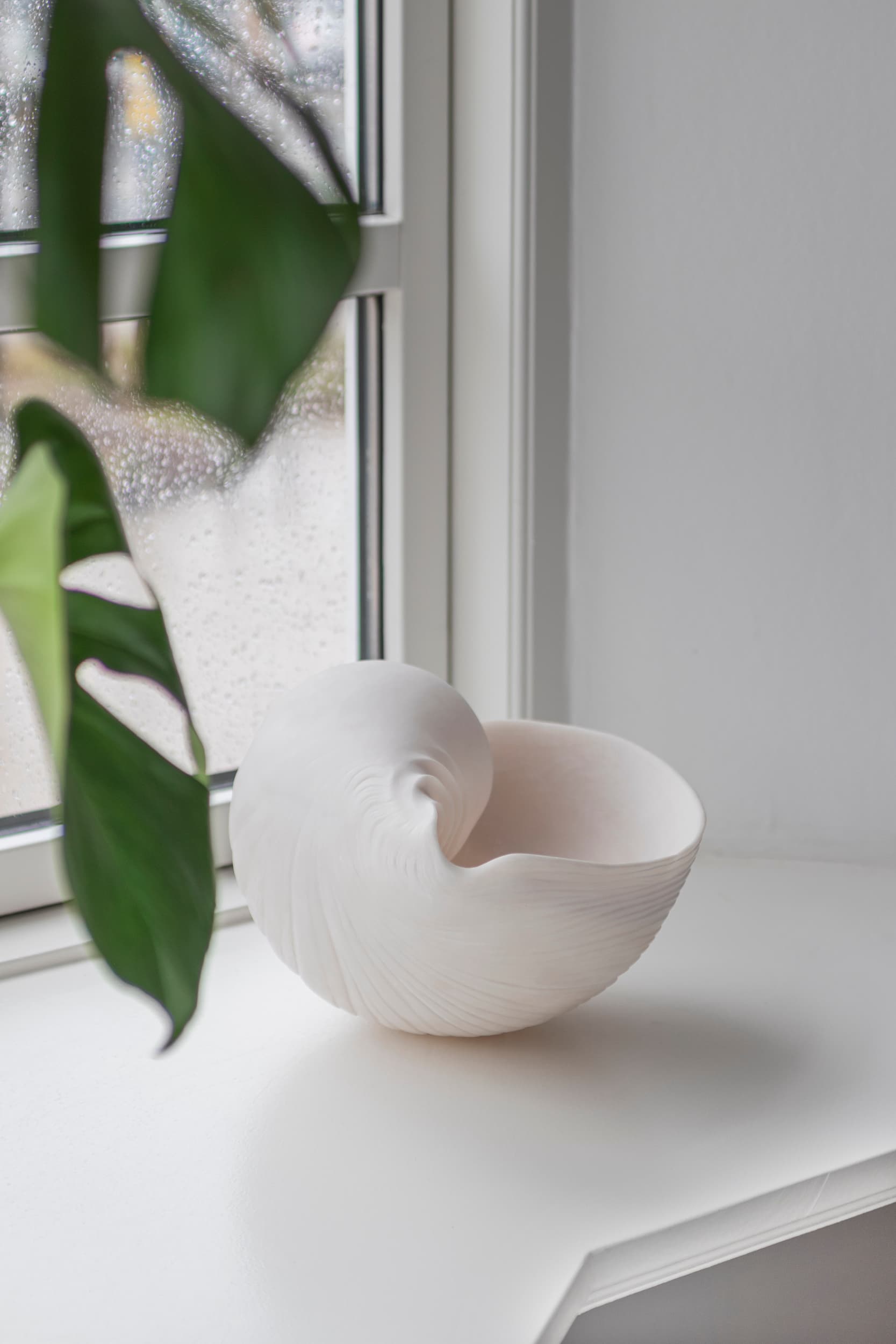 Conch Shell Decoration Off-White Large