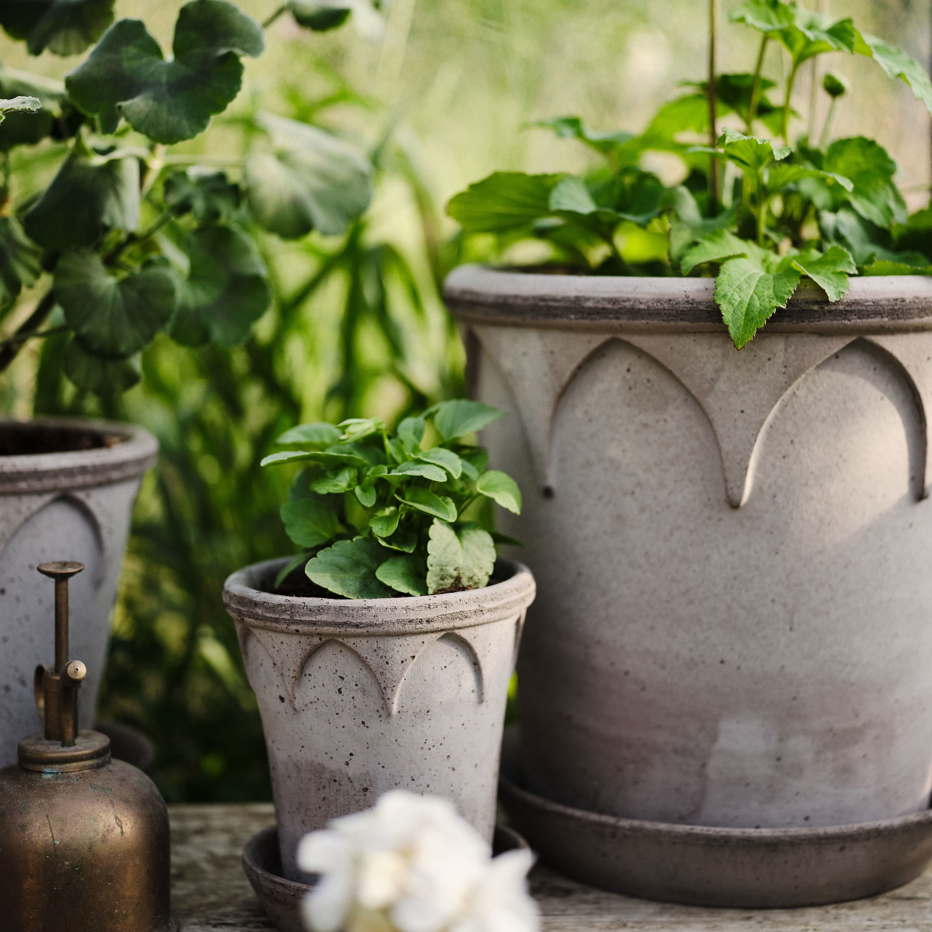 Elizabeth Pot with Saucer Raw Grey Terracotta Ø18