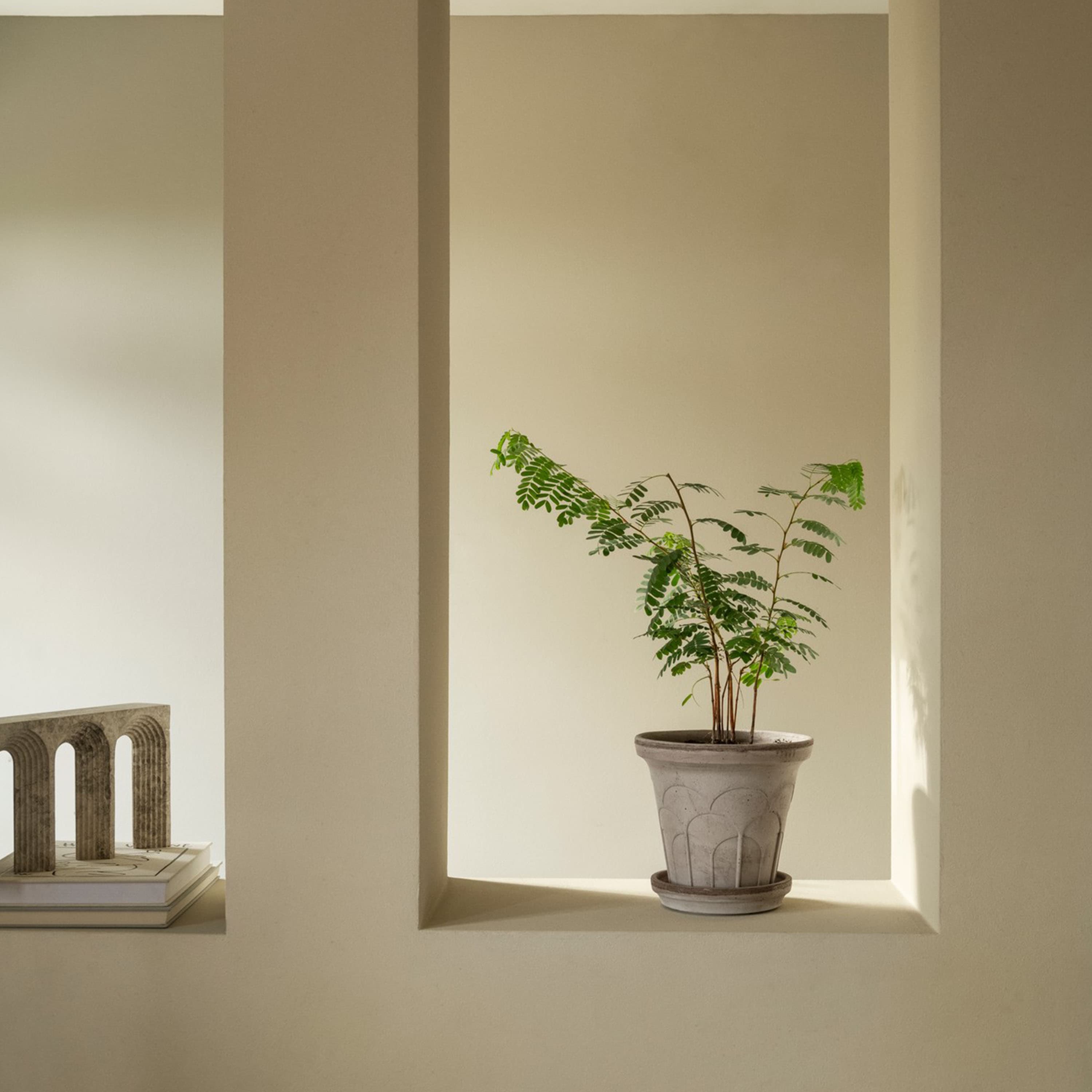 Fleur Blumentopf mit Untersetzer Raw Grey Ø21