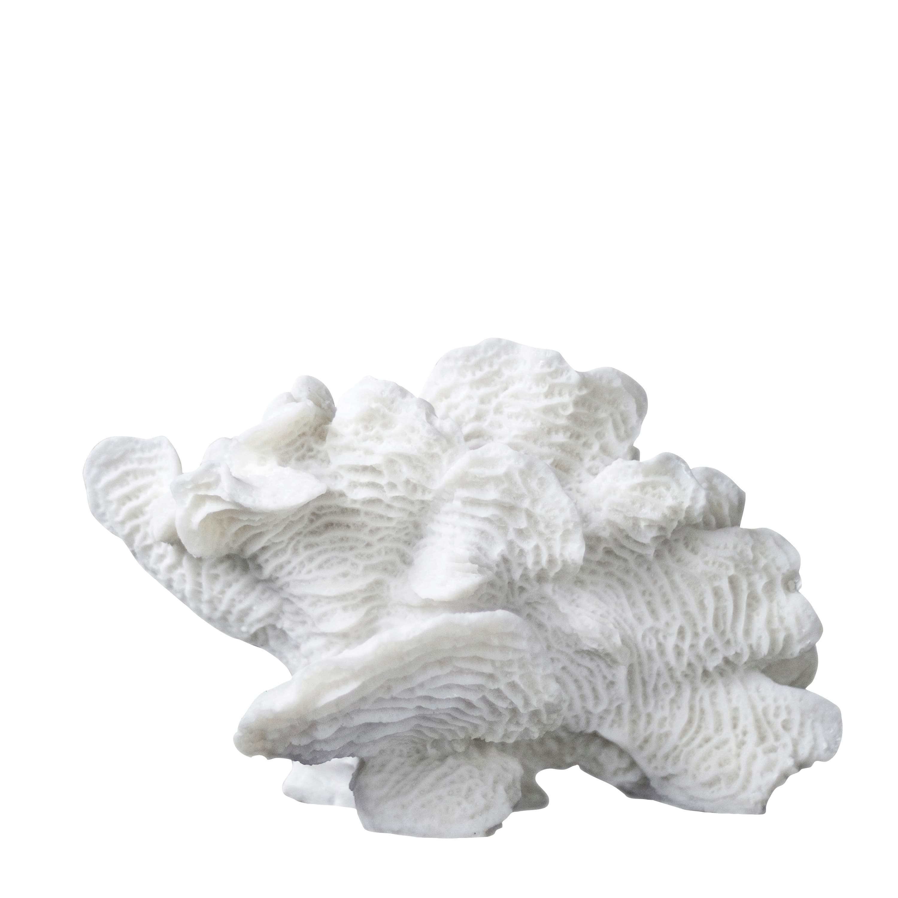Coral Fan Dekoration Weiß