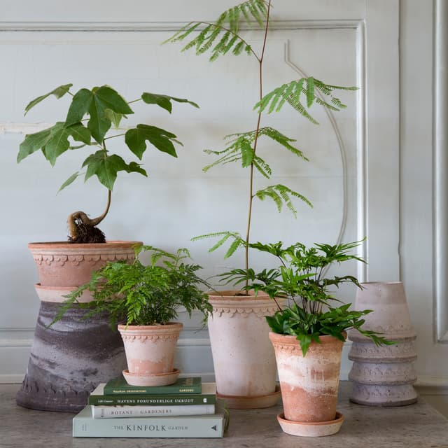 Københavner Pot with Saucer Raw Pink Terracotta Ø21