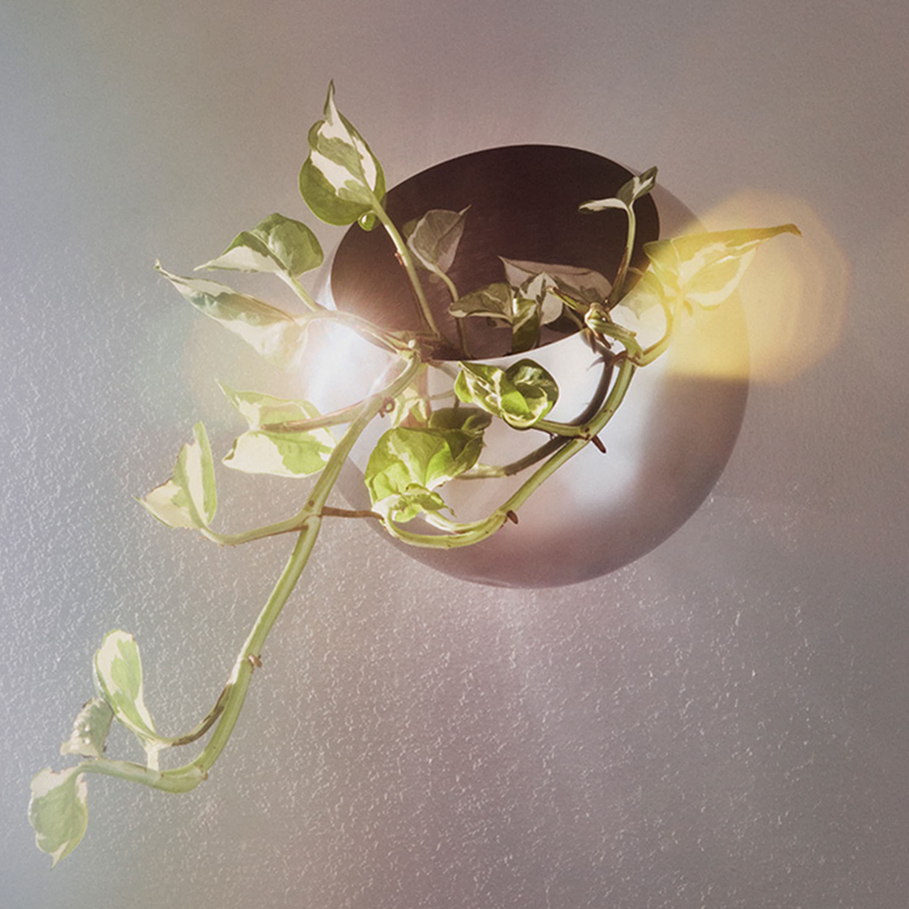 Globe Wall Flowerpot Taupe Ø21
