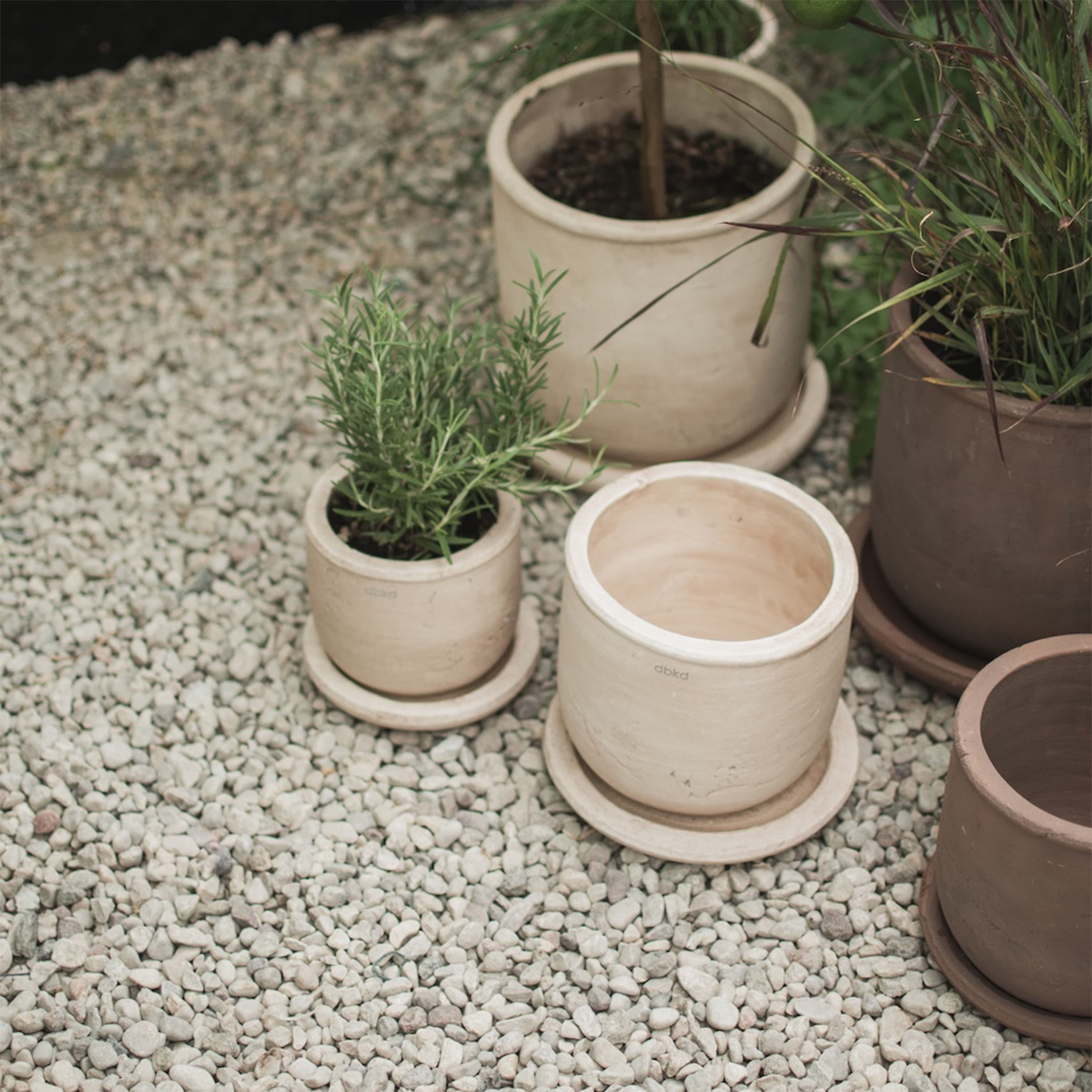 Terra Blumentopf Sand Ø18