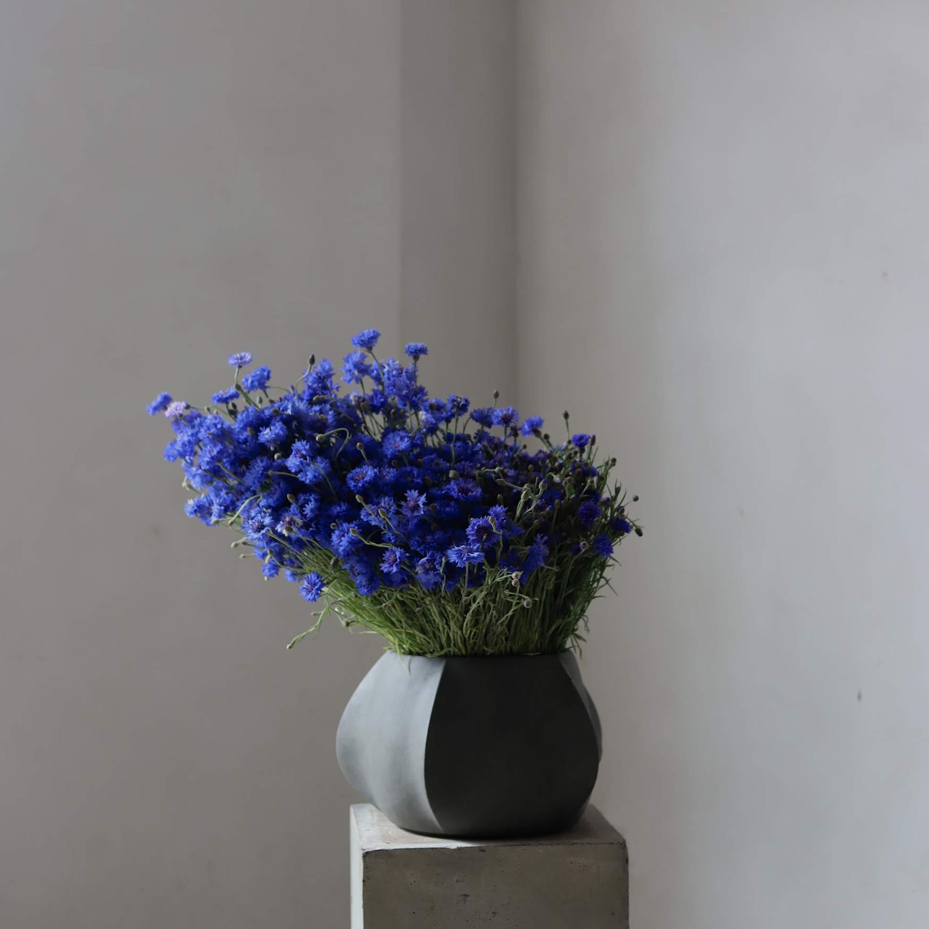 Arket Pot Dark Grey Mini