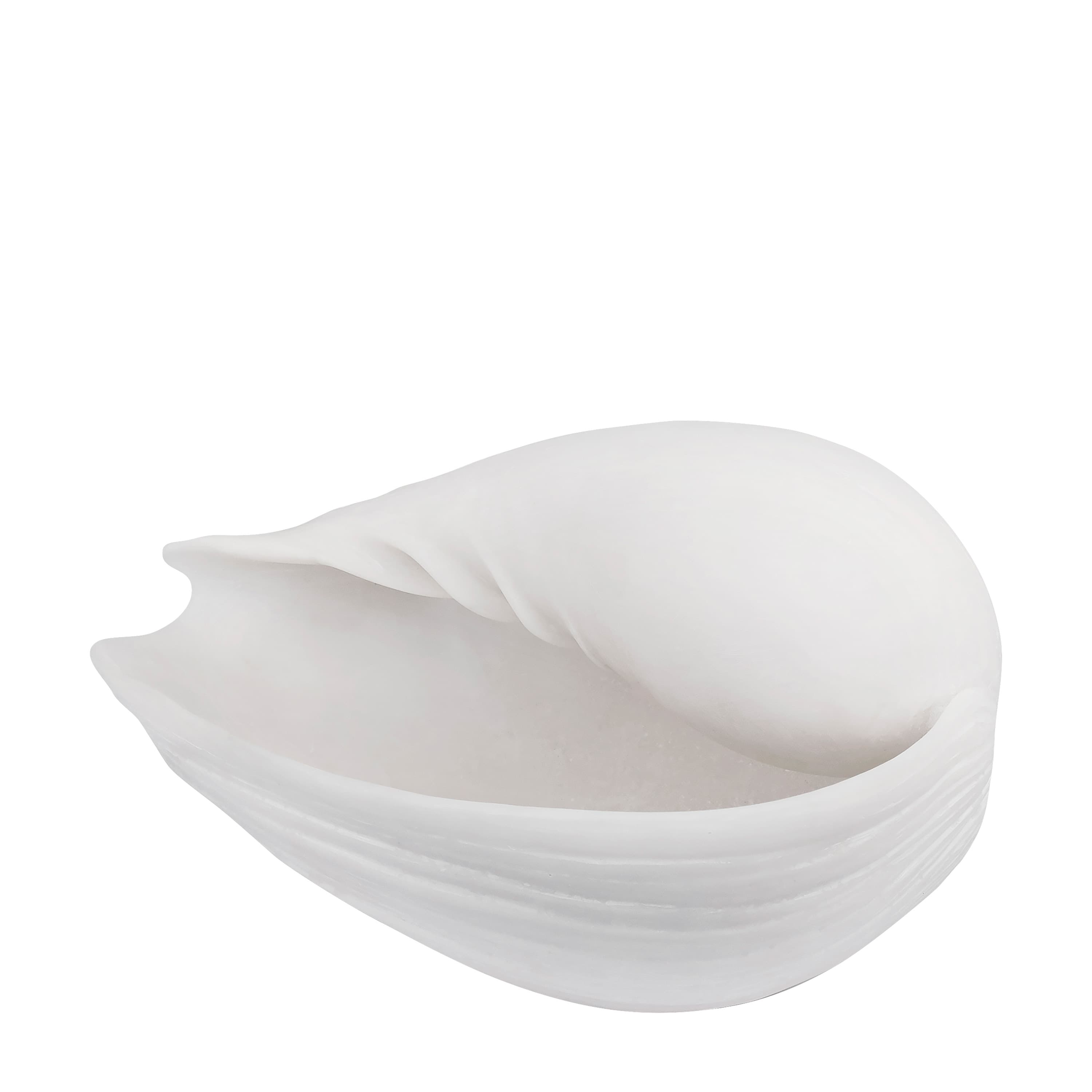 Conch Shell Decoration Off-White Large
