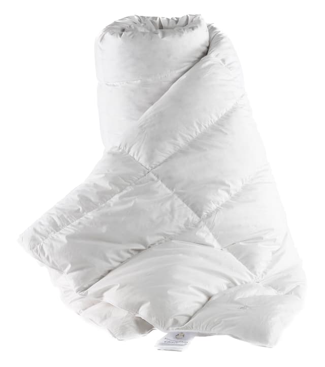 Louise Duvet Ich friere manchmal 150x210