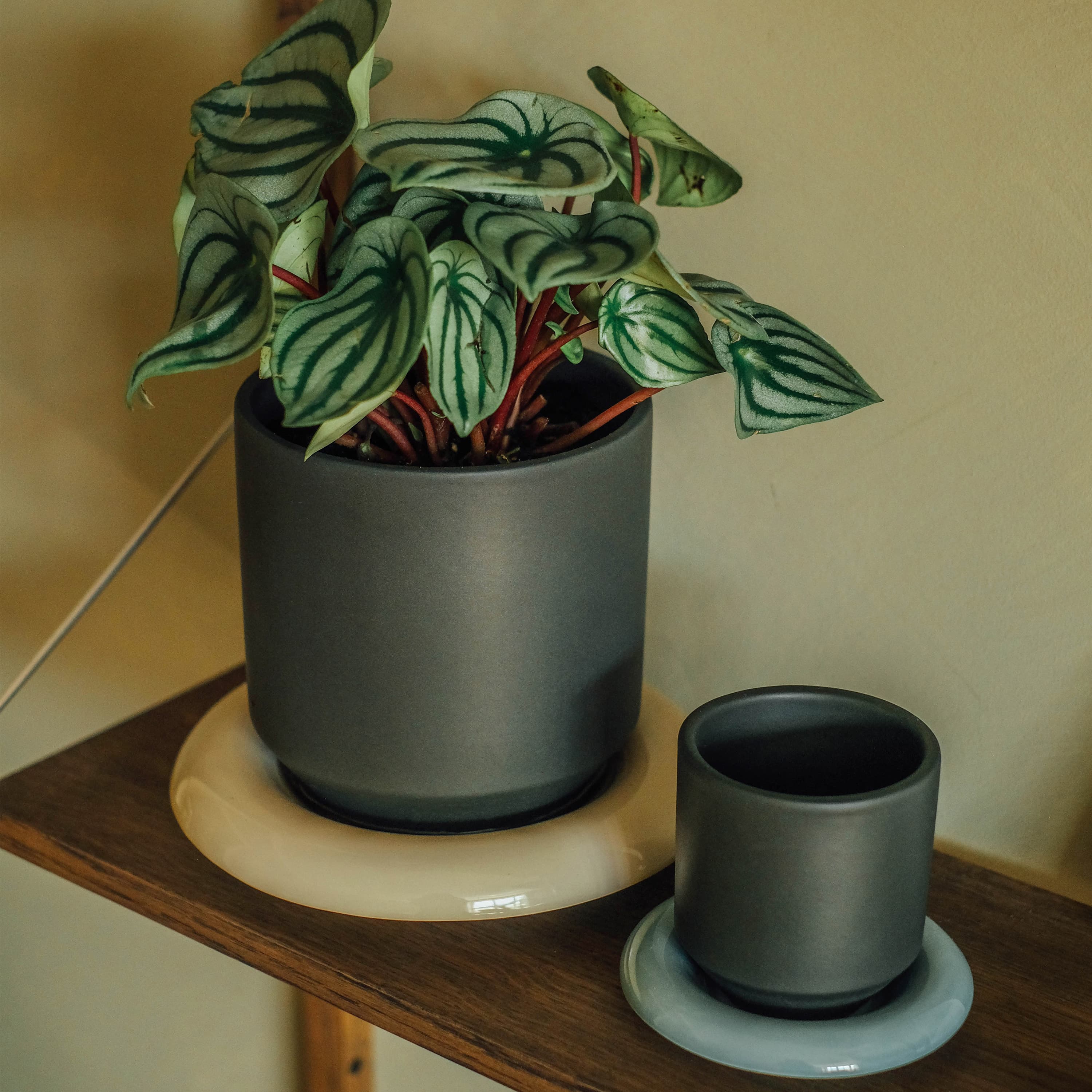 Lily Saucer Glazed Sandstone Ø18