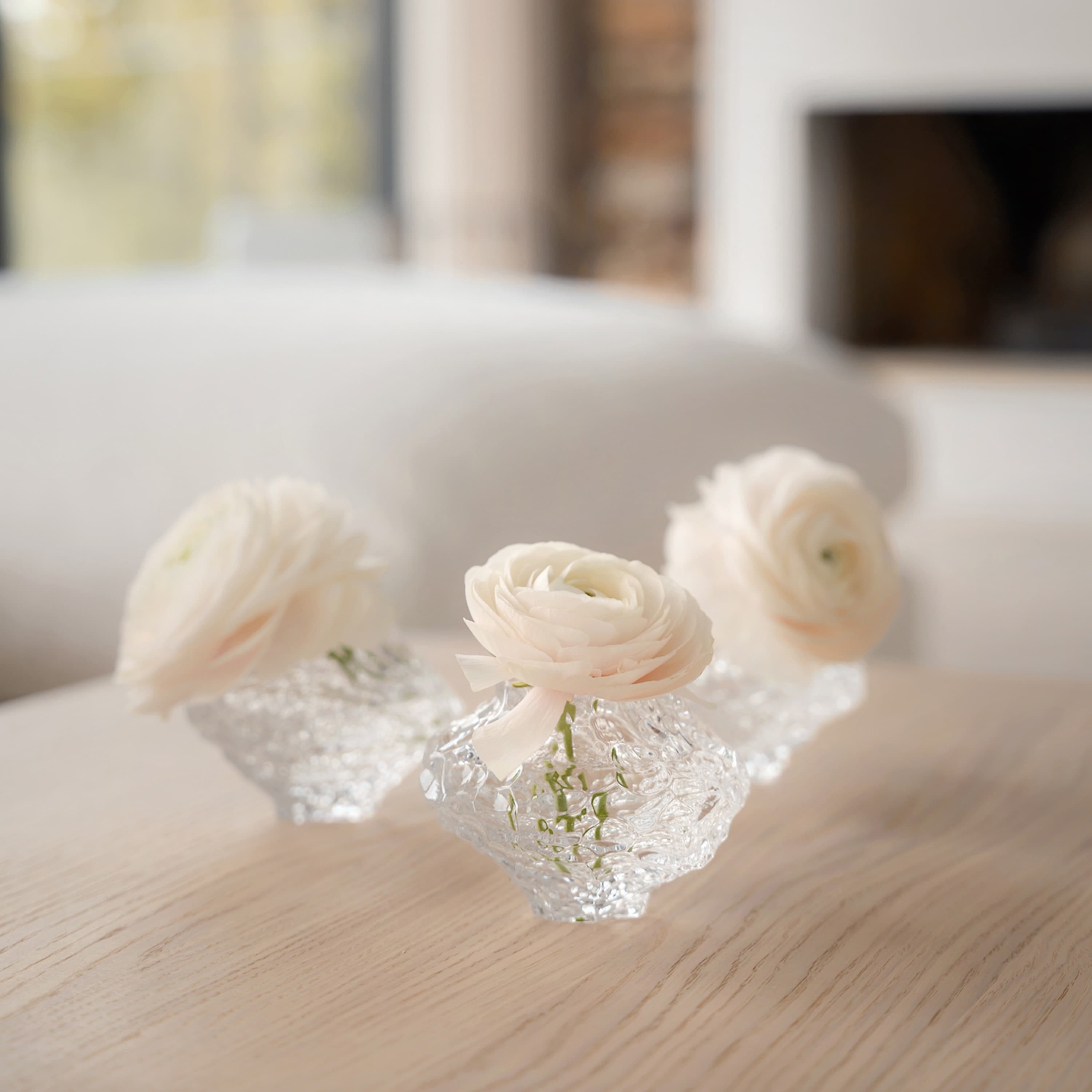 Canyon Vase Clear Mini