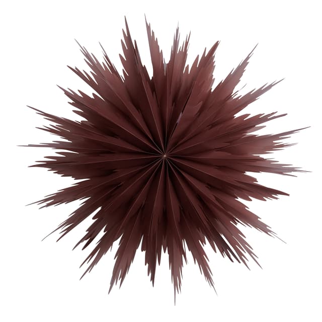 Liz Weihnachtsstern Rot Ocker 50 cm