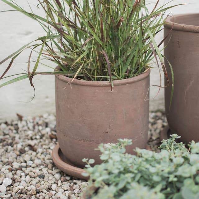 Terra Blumentopf Braun Ø23