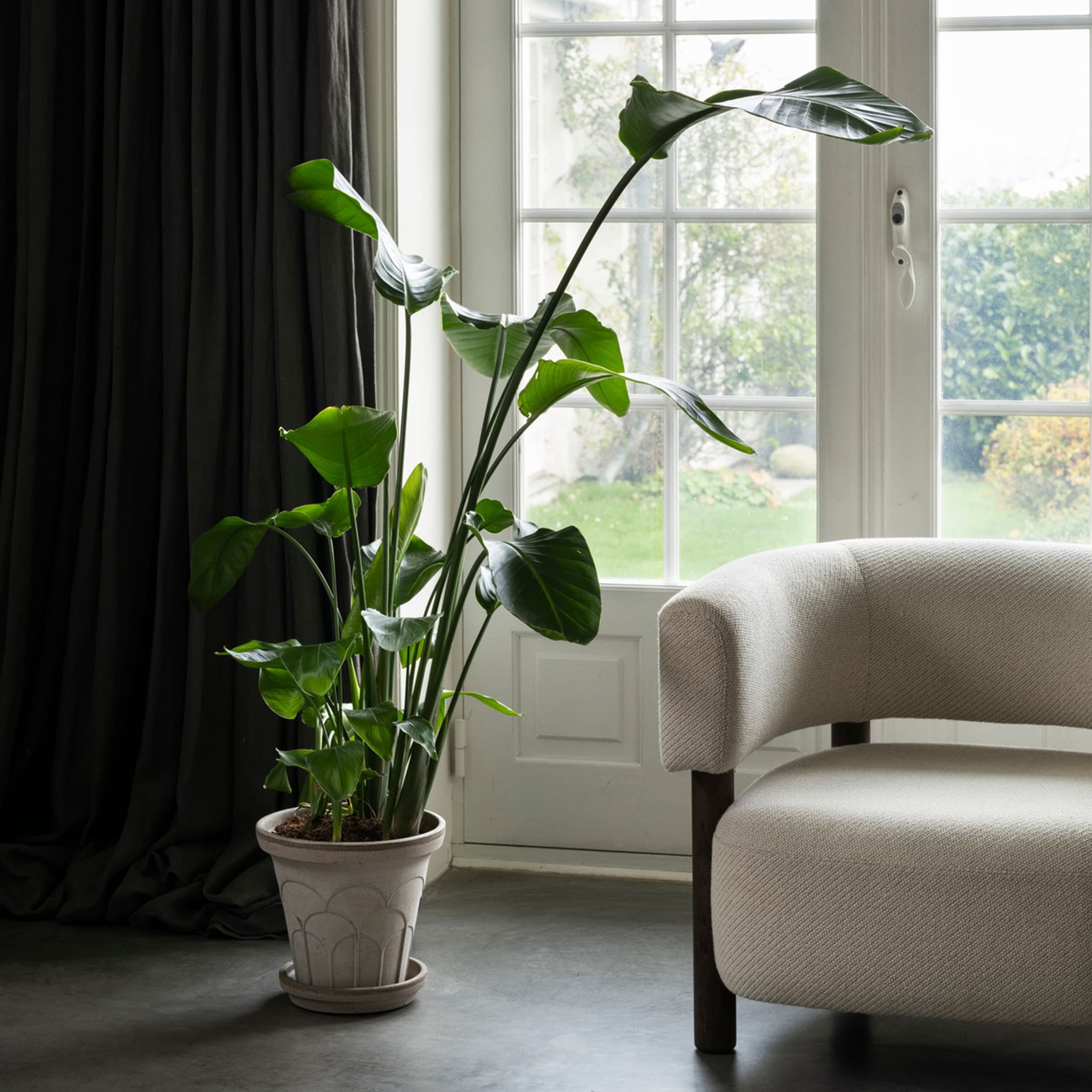 Fleur Blumentopf mit Untersetzer Raw Grey Ø25