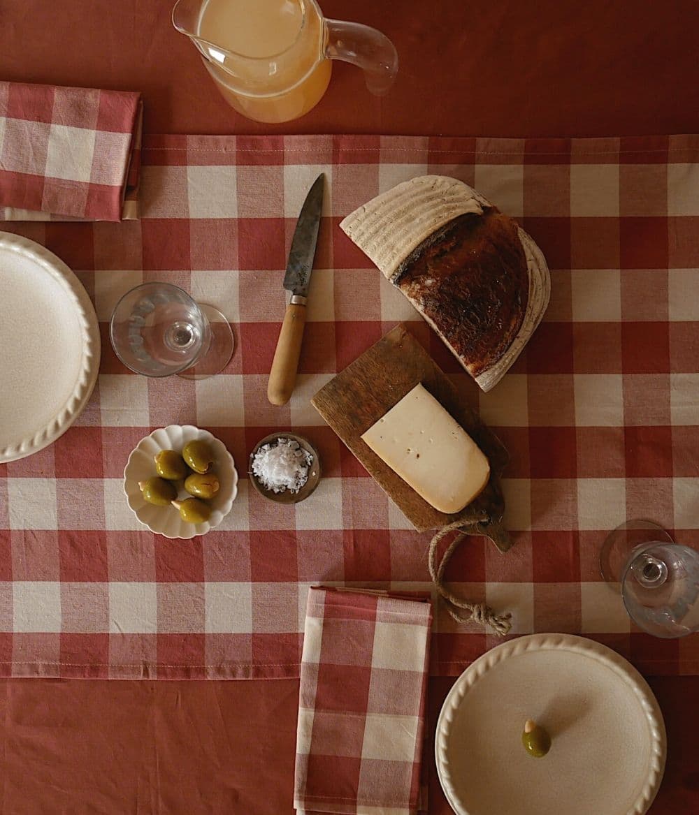 Bertel Napkin Terra/Soda Set of 4