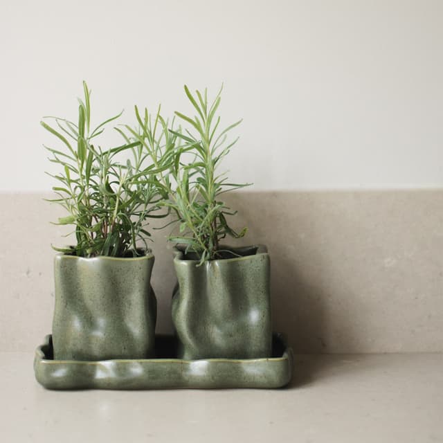 Herb Pot Moss Ø8 2-pack