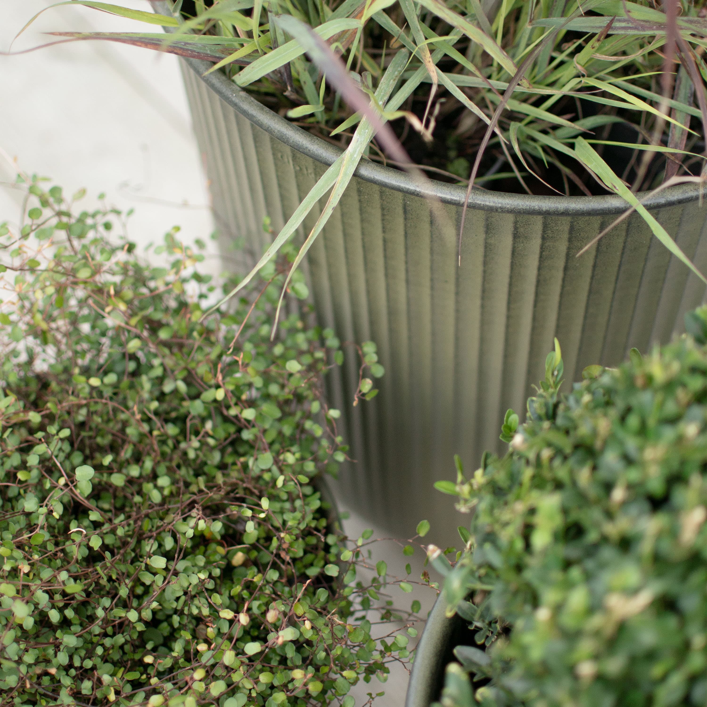 Out Stripe Kruka Green 3-pack