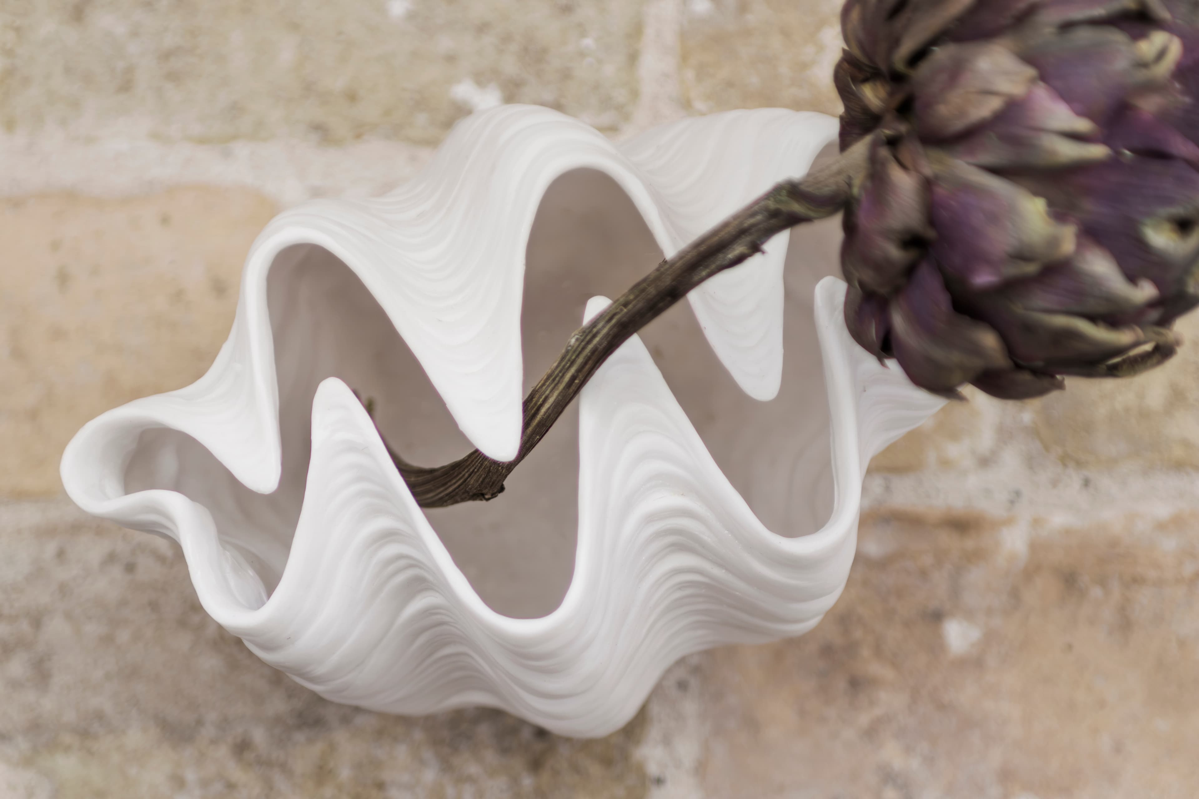 Shell Vase Offwhite Klein