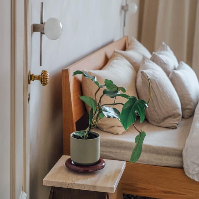 Lily Topf glasiert Sage Green Ø18