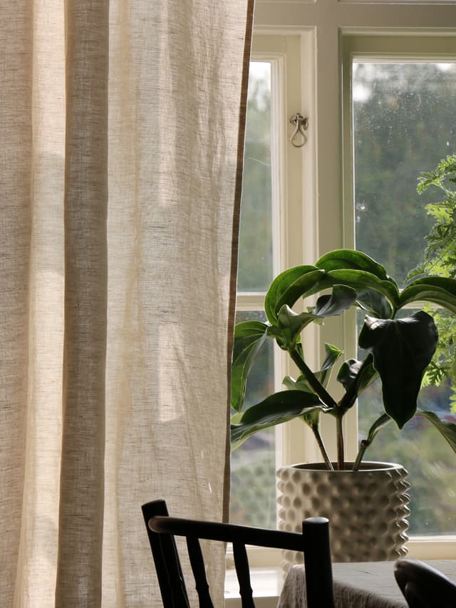 Sunrise Curtain Length Linen Oatmeal 140x290