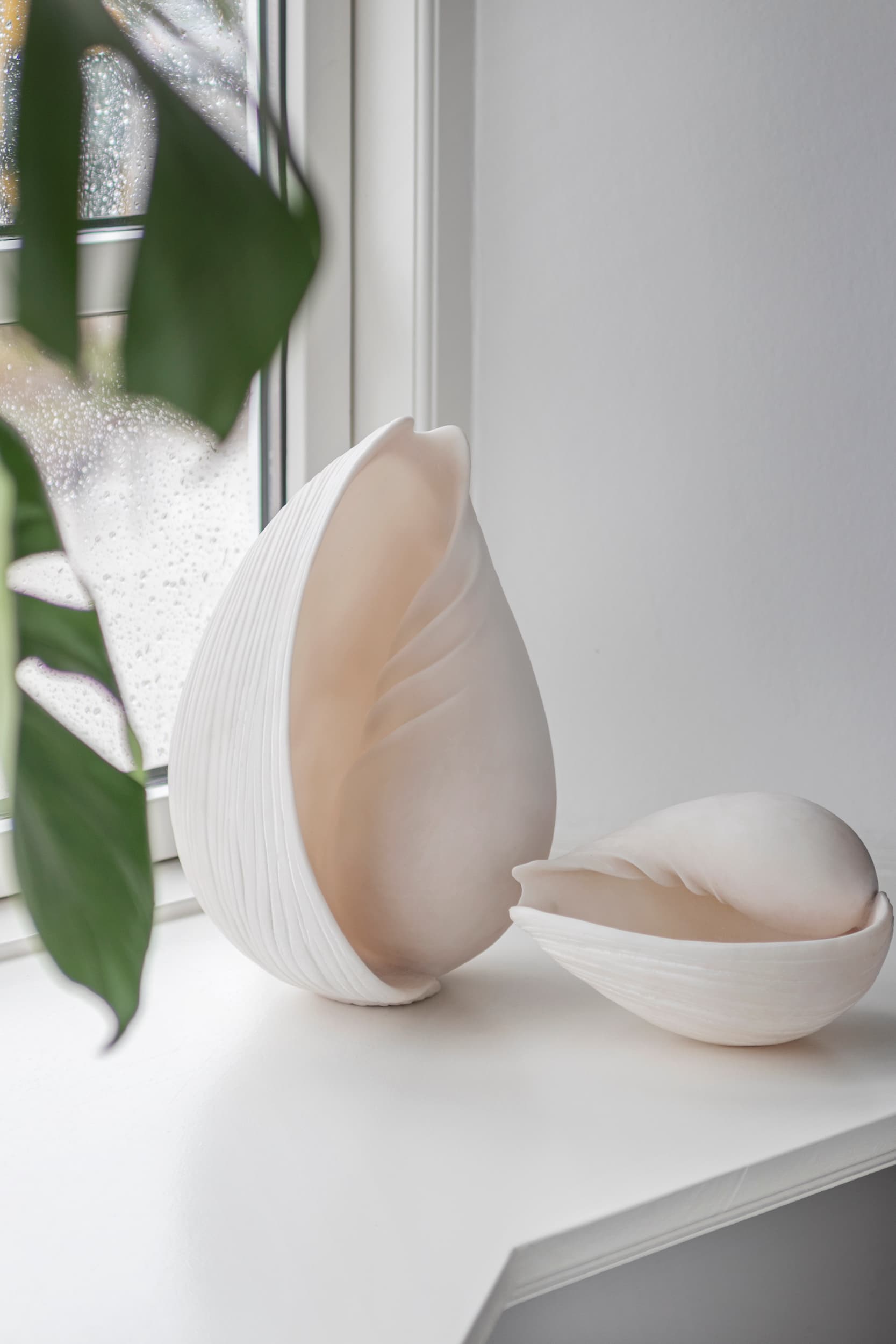 Conch Shell Decoration Off-White Large