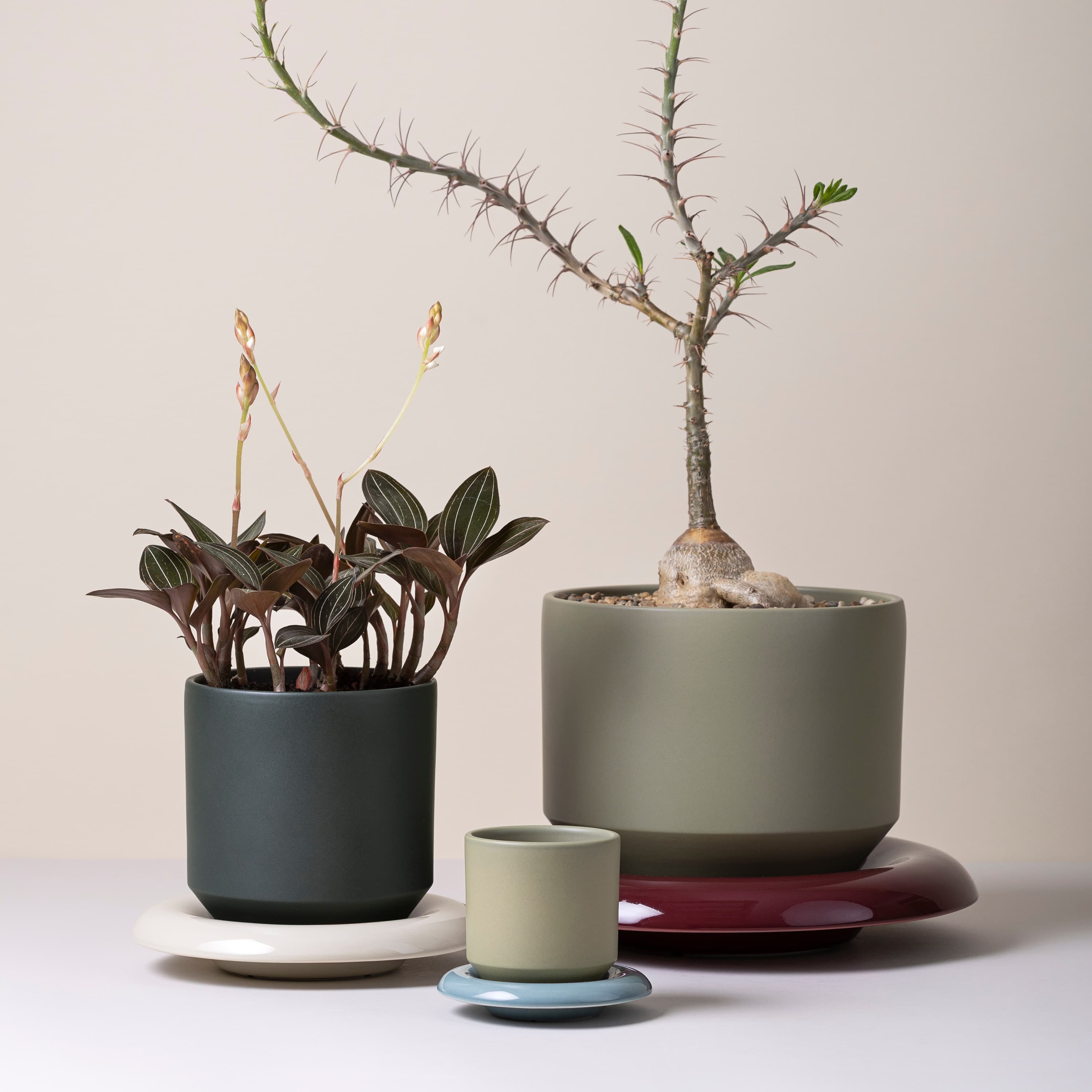 Lily Pot Glazed Sage Green Ø18