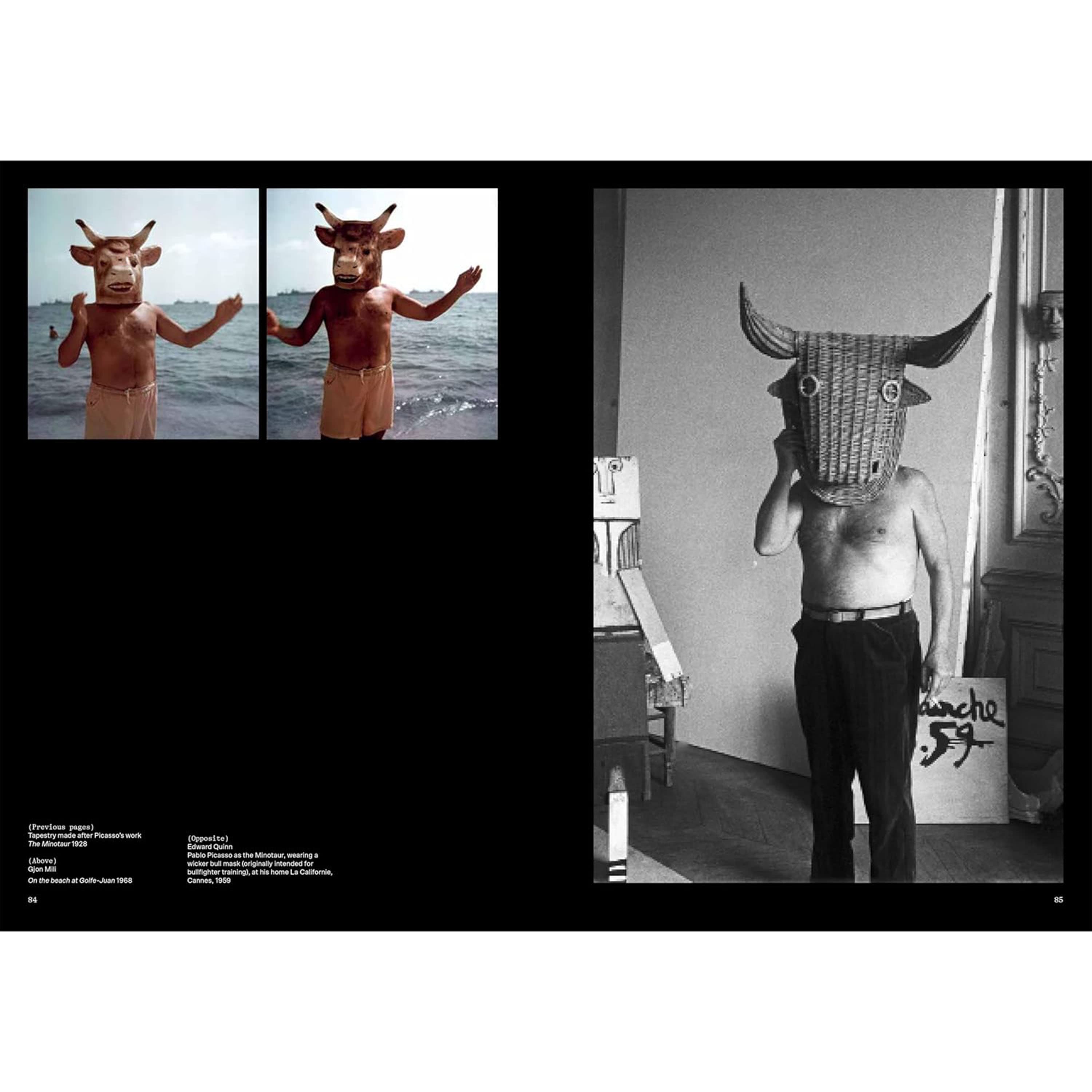 Theatre Picasso Coffee Table Book