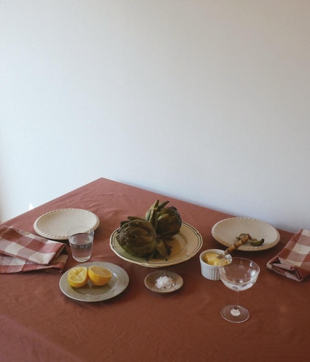 Bertel Napkin Terra/Soda Set of 4