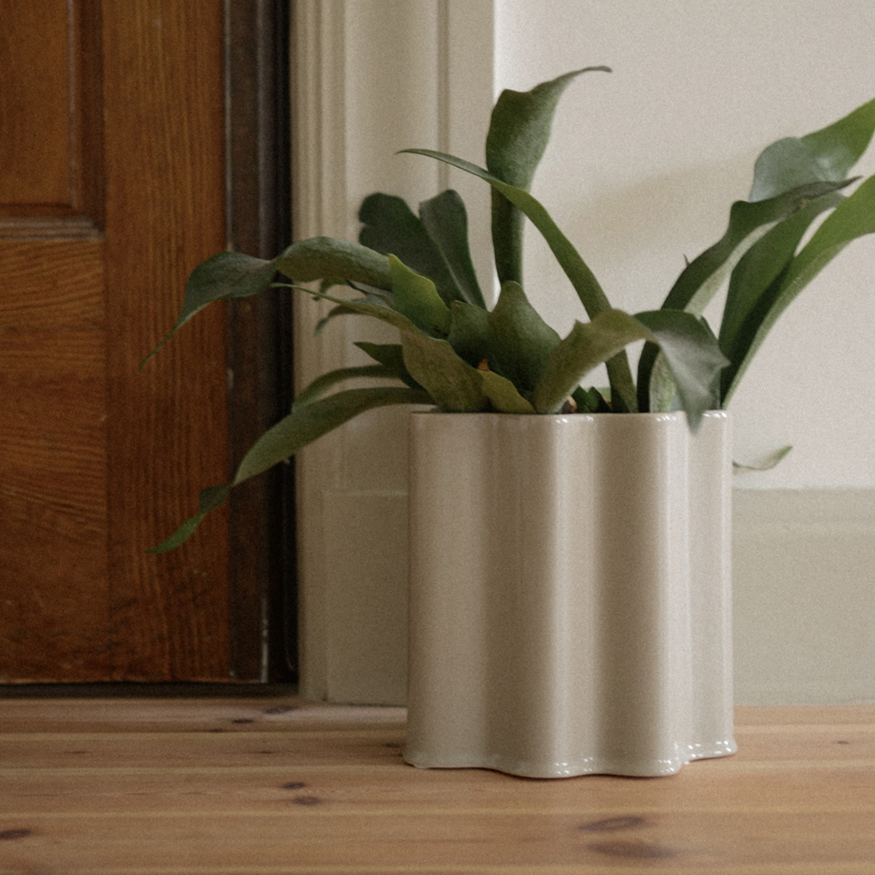 Filter Pot Shiny Mole XL