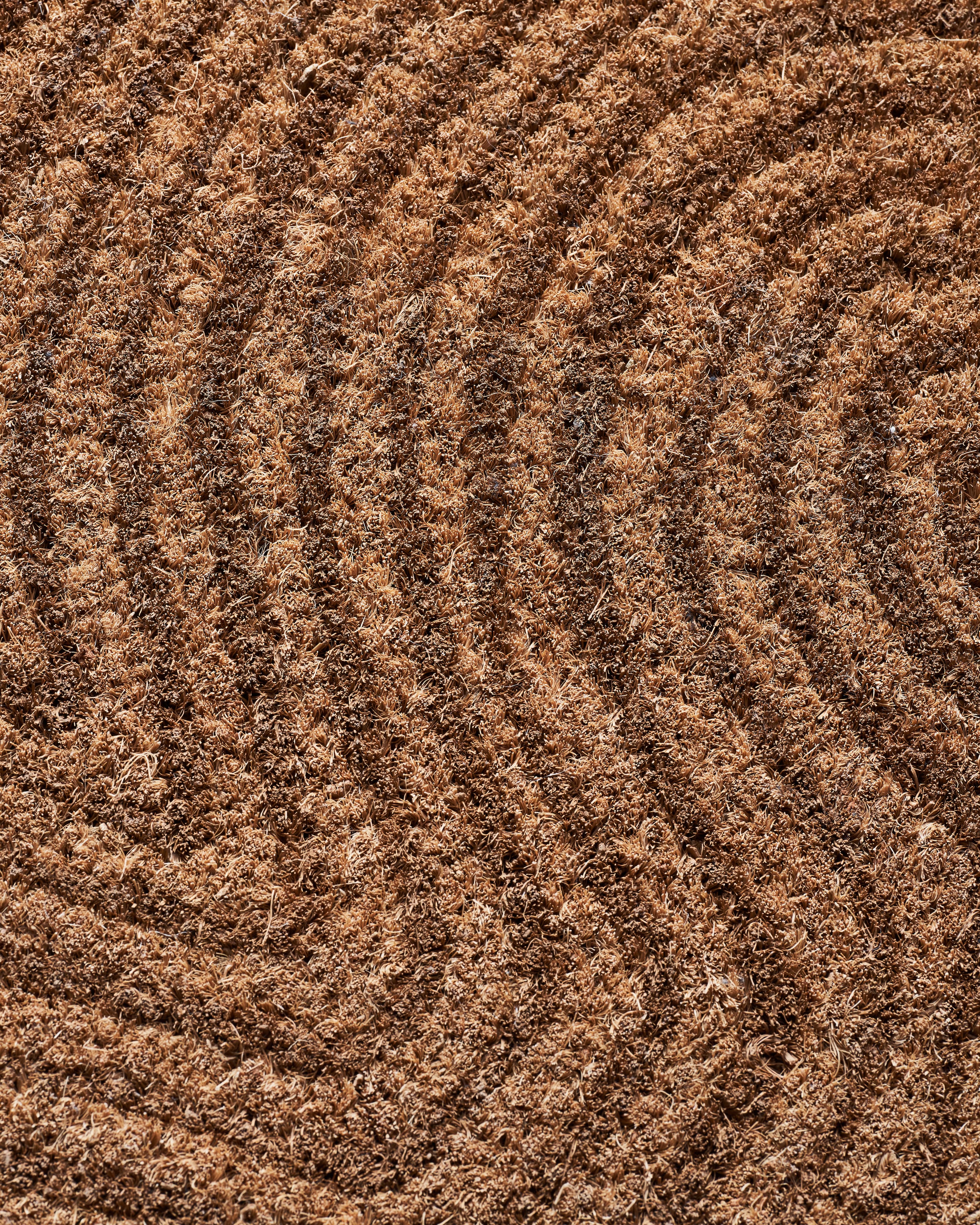 Trip Türmatte Natur 60x90