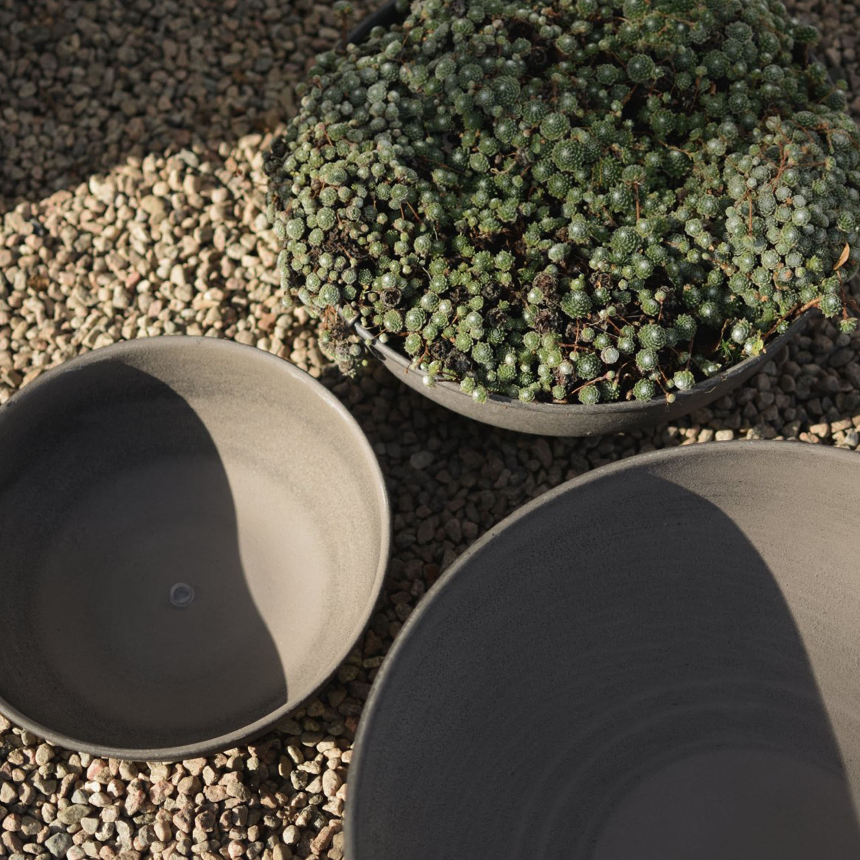 Out Bowl Green 3-pack
