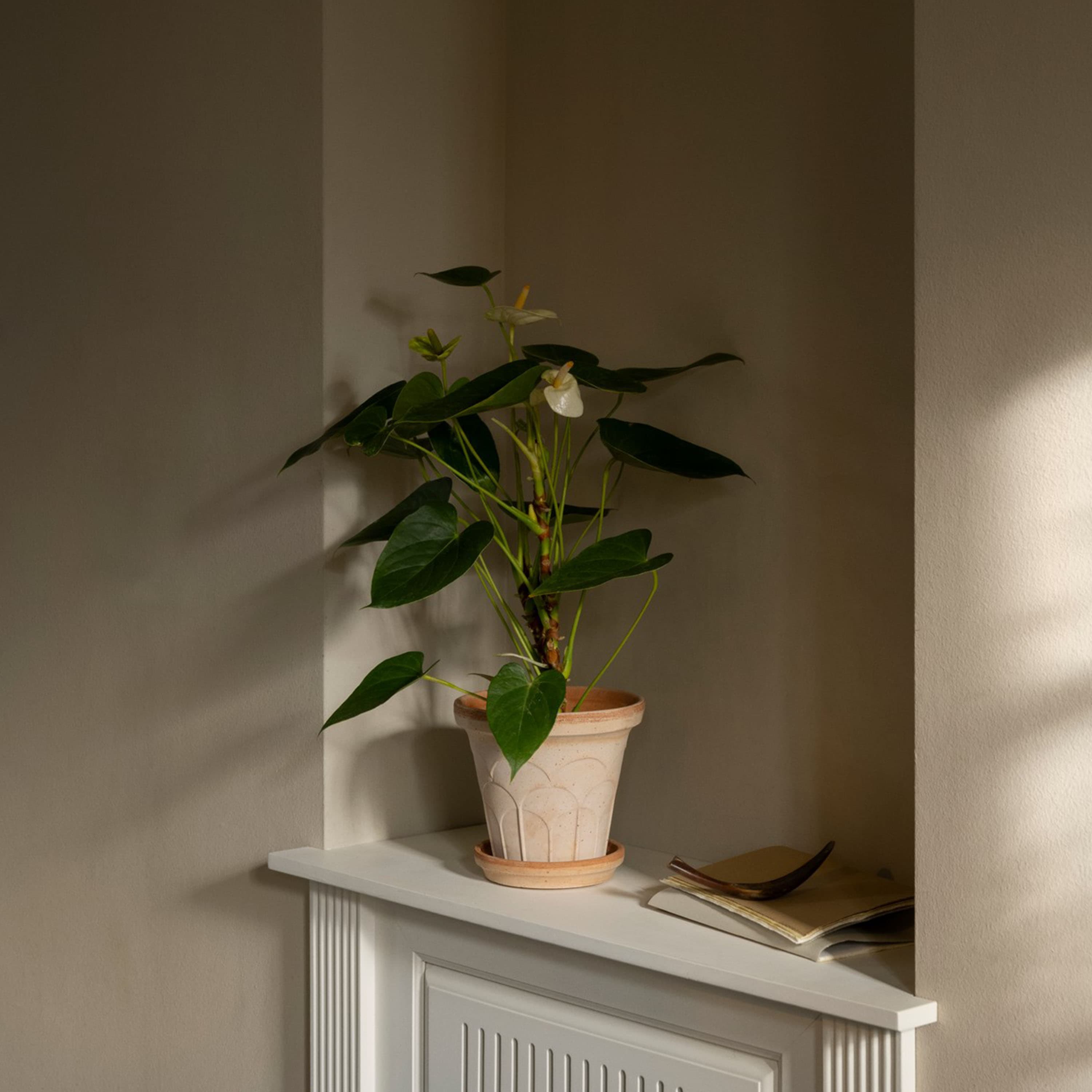 Fleur Plant Pot with Saucer Raw Rosa Ø16