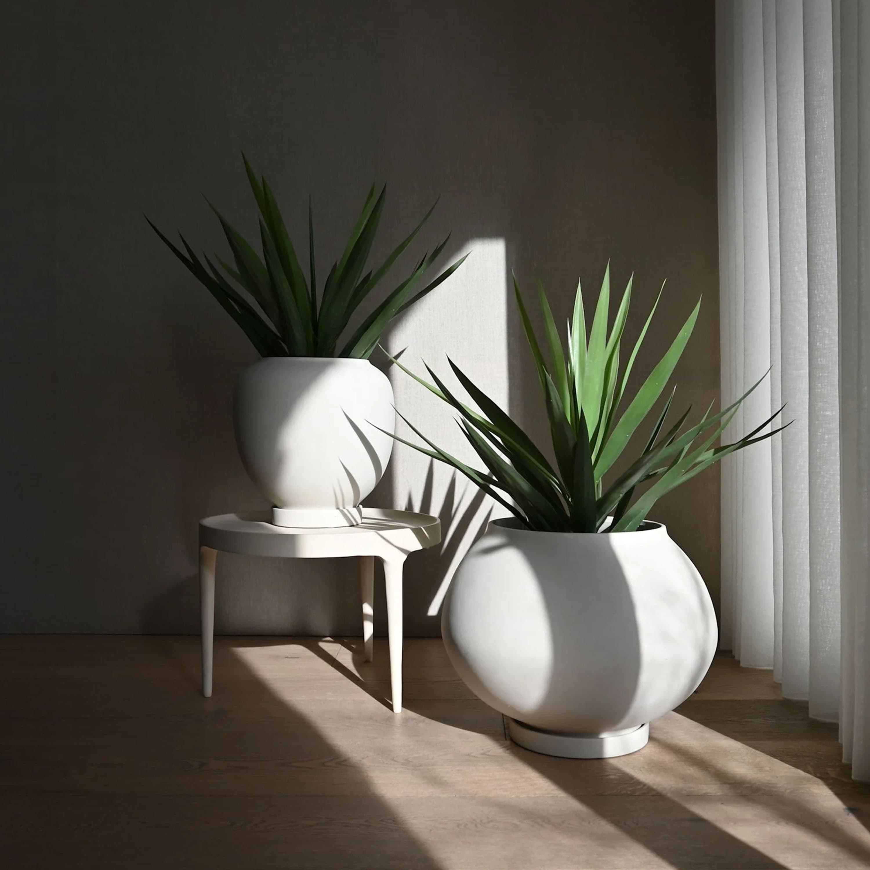 Sunao Birch Medium Shelf